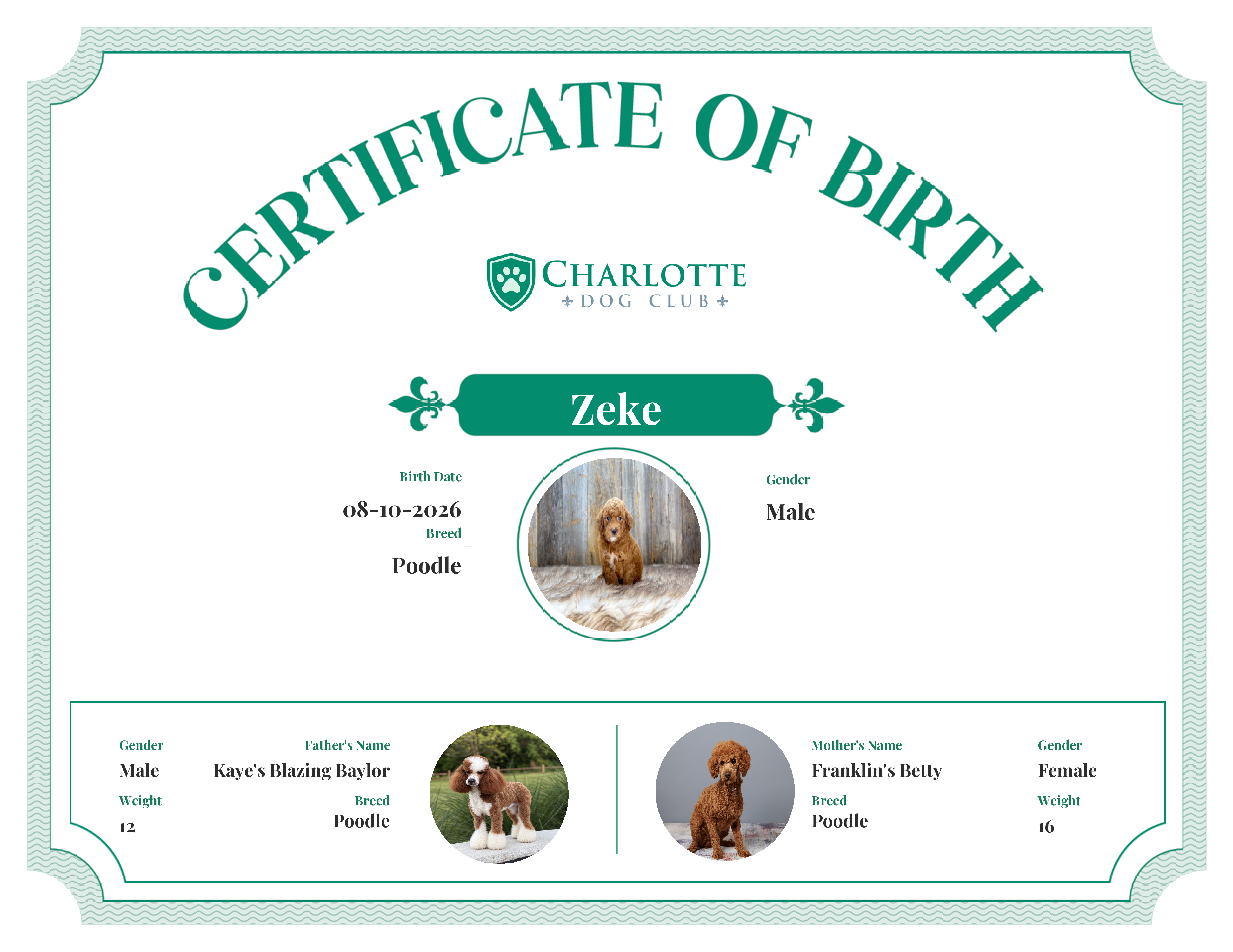 Zeke's Birth Certificate