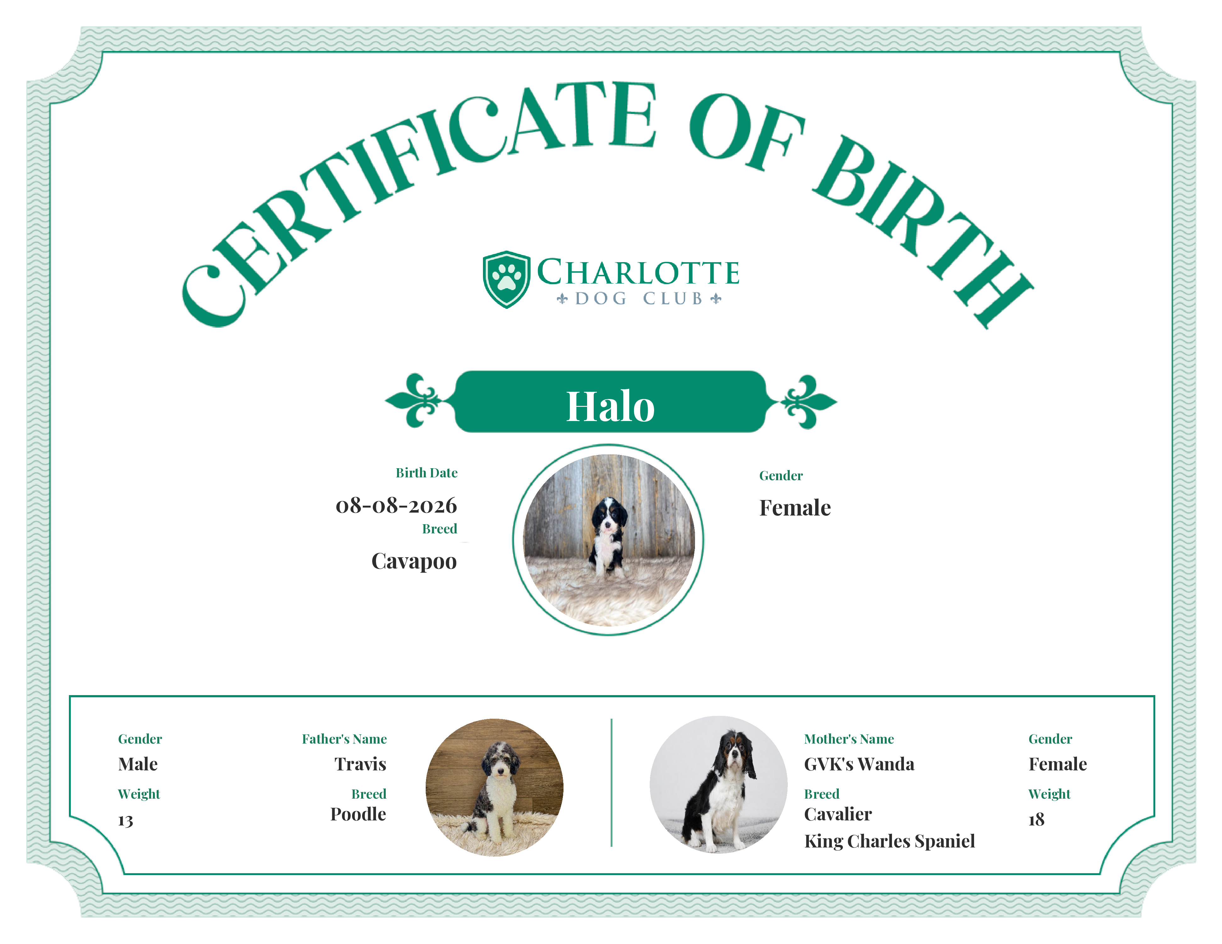Halo's Birth Certificate