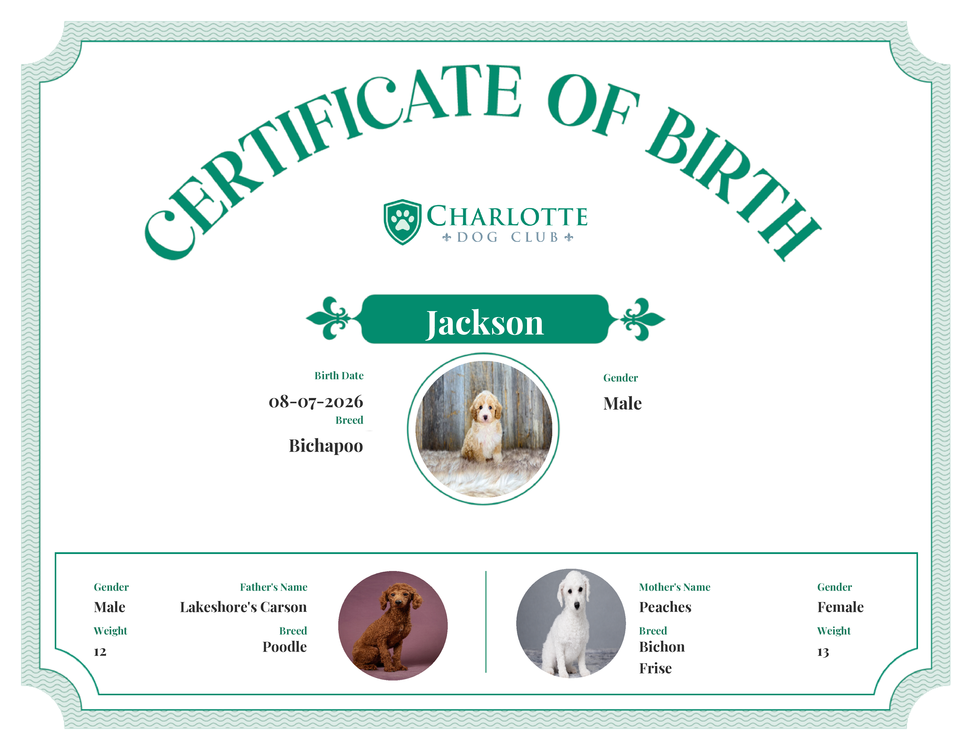 Jackson's Birth Certificate