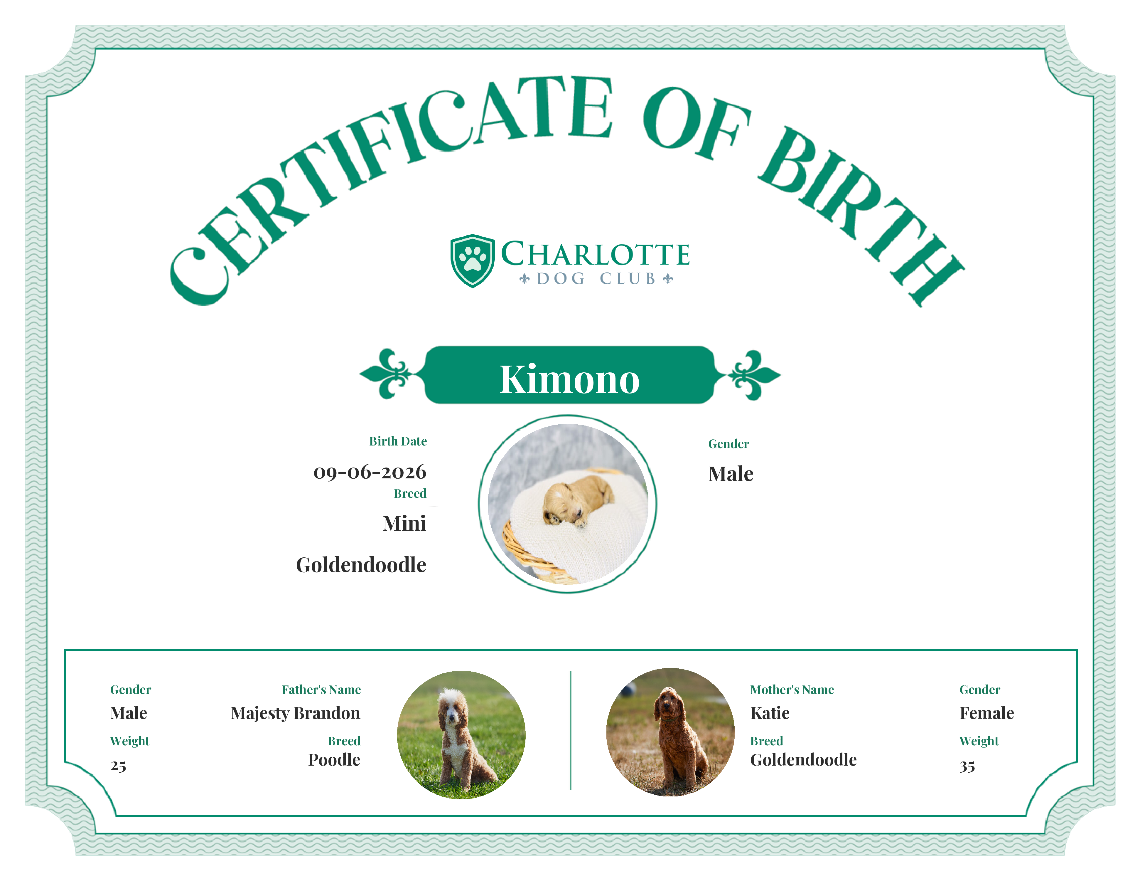 Kimono's Birth Certificate