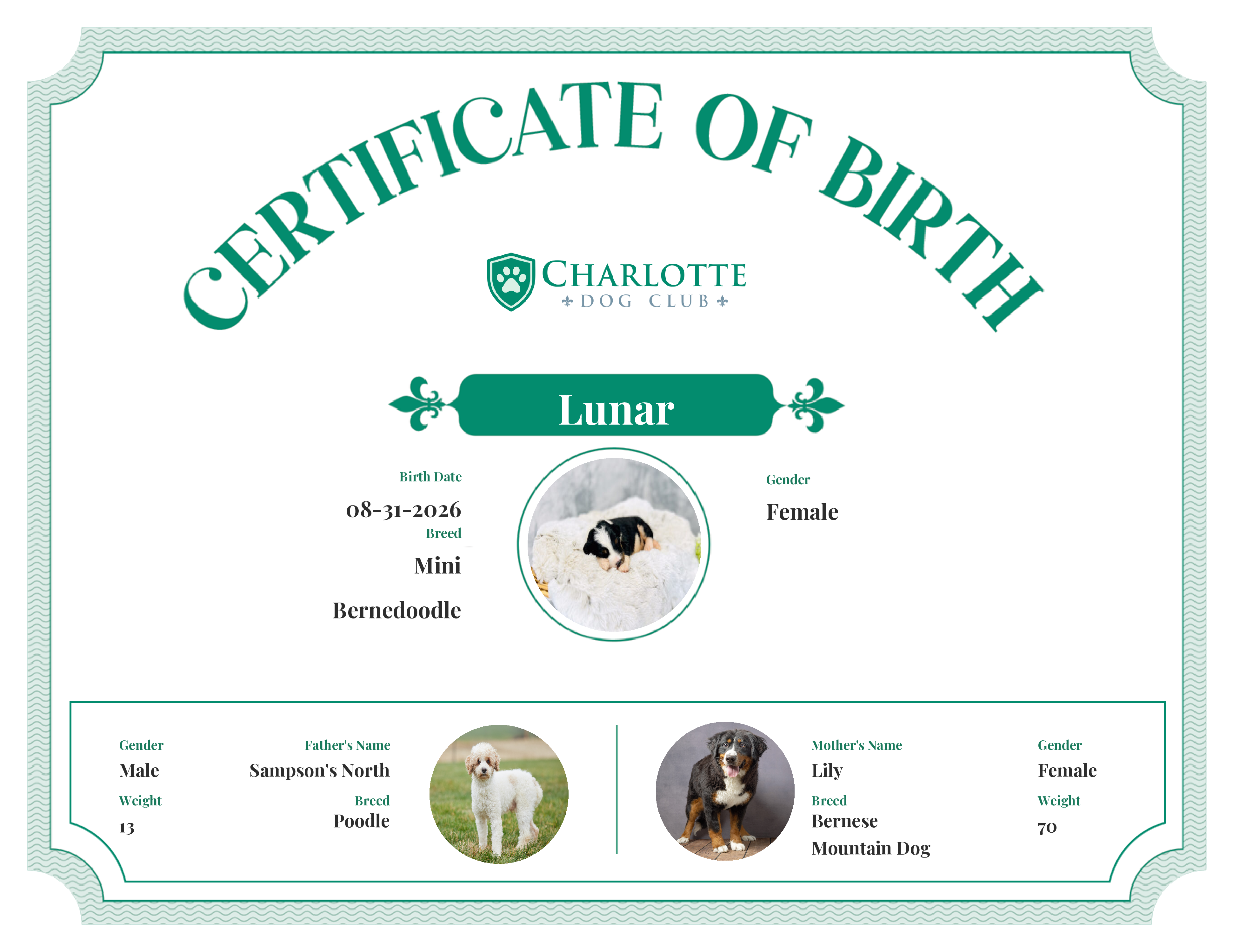 Lunar's Birth Certificate