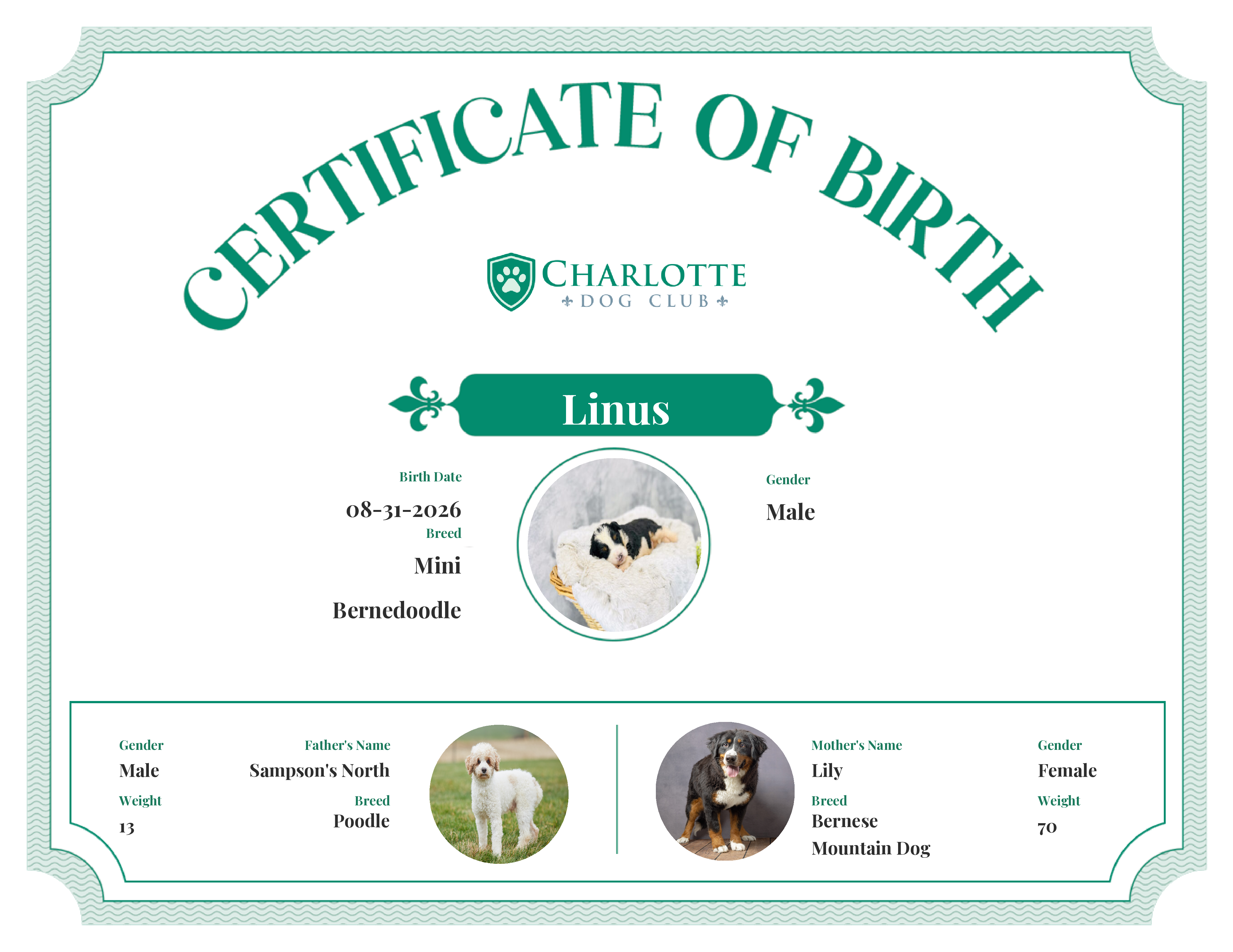 Linus's Birth Certificate