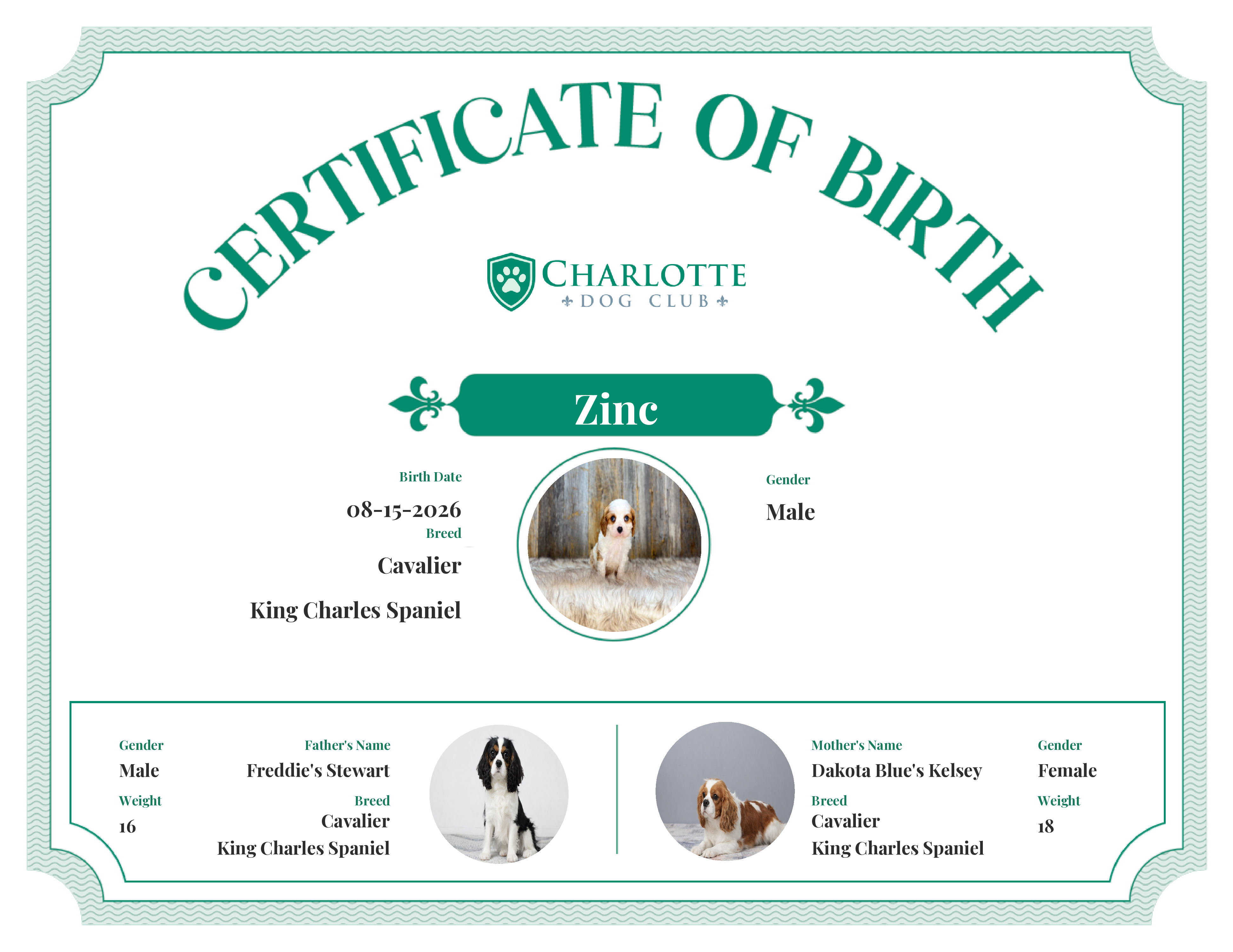 Zinc's Birth Certificate