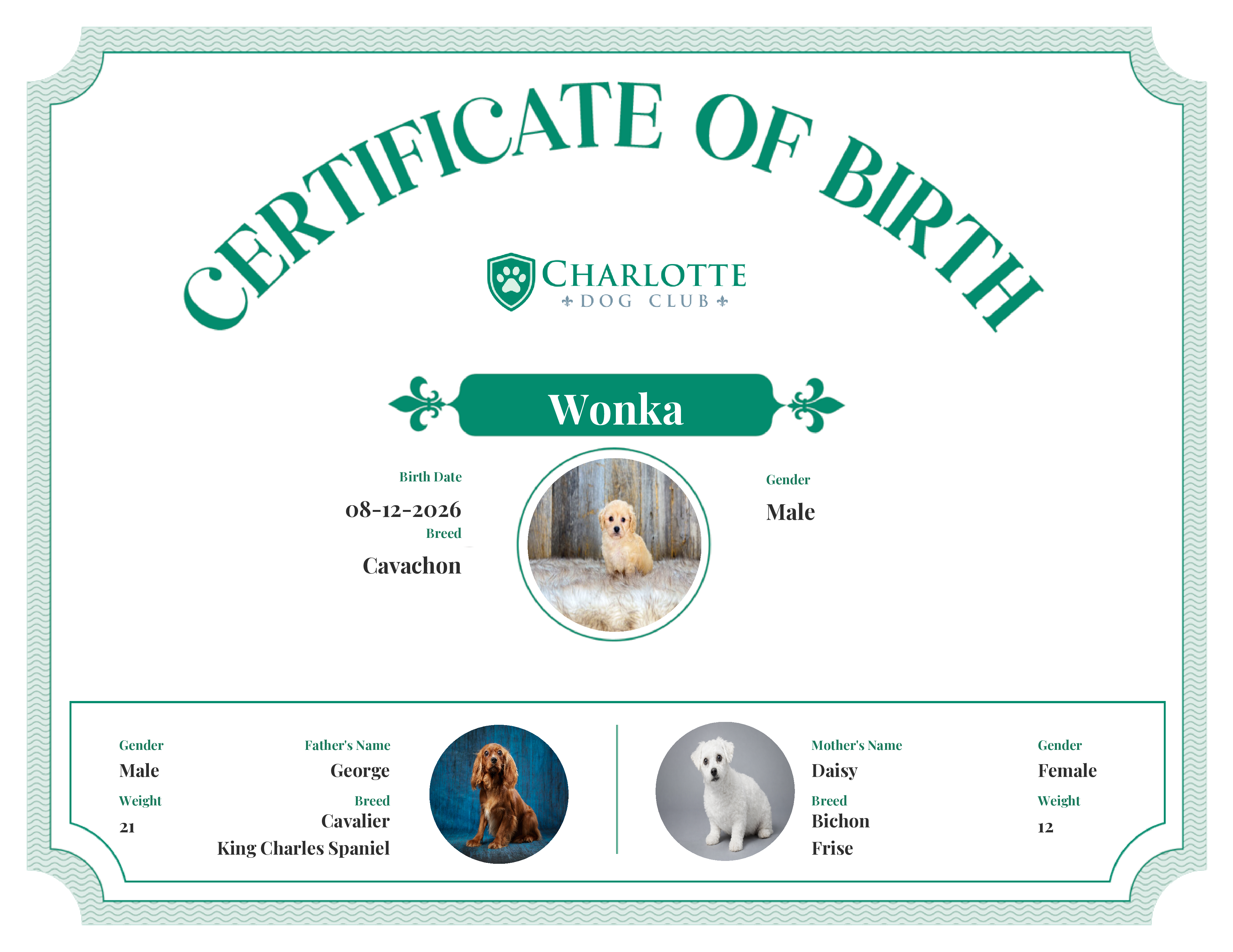 Wonka's Birth Certificate