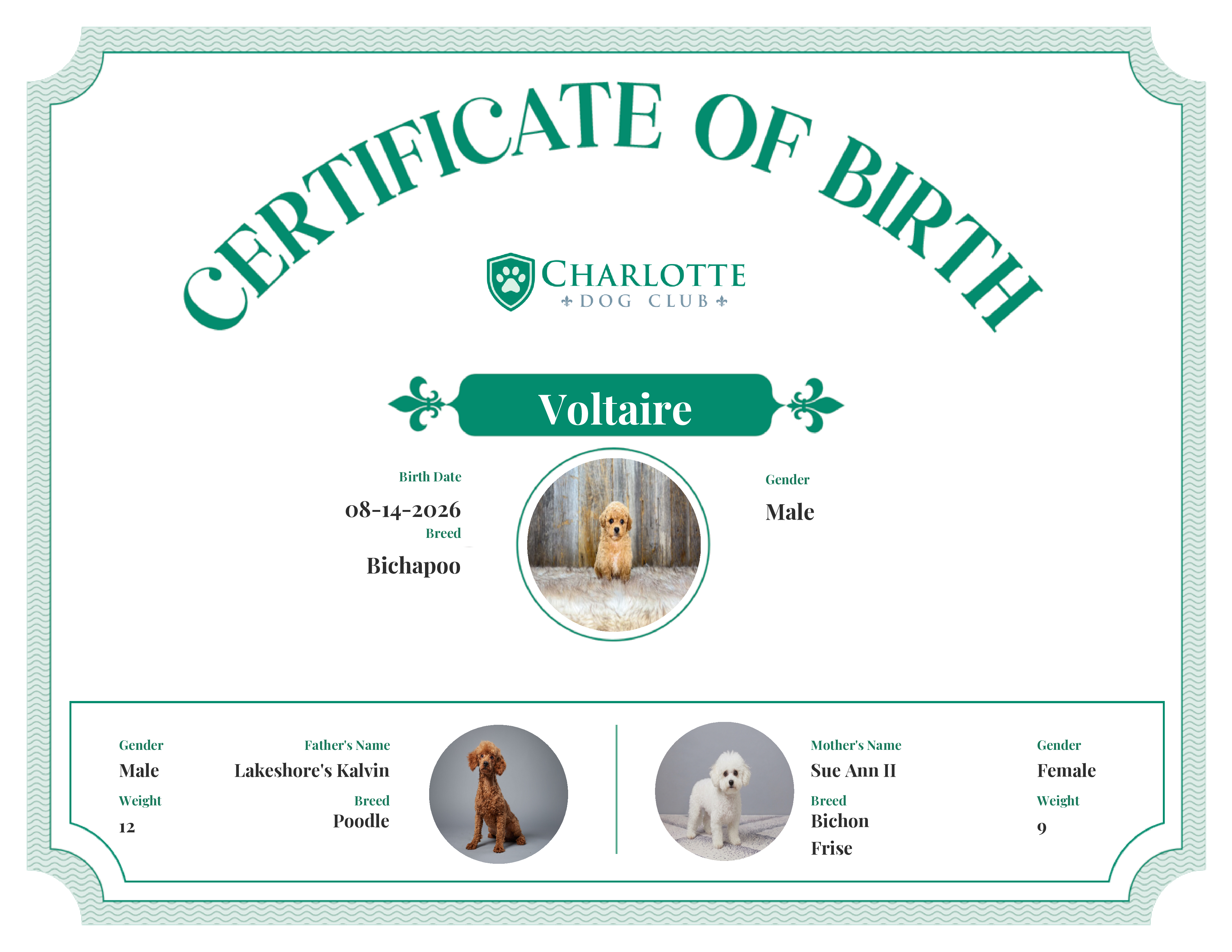 Voltaire's Birth Certificate