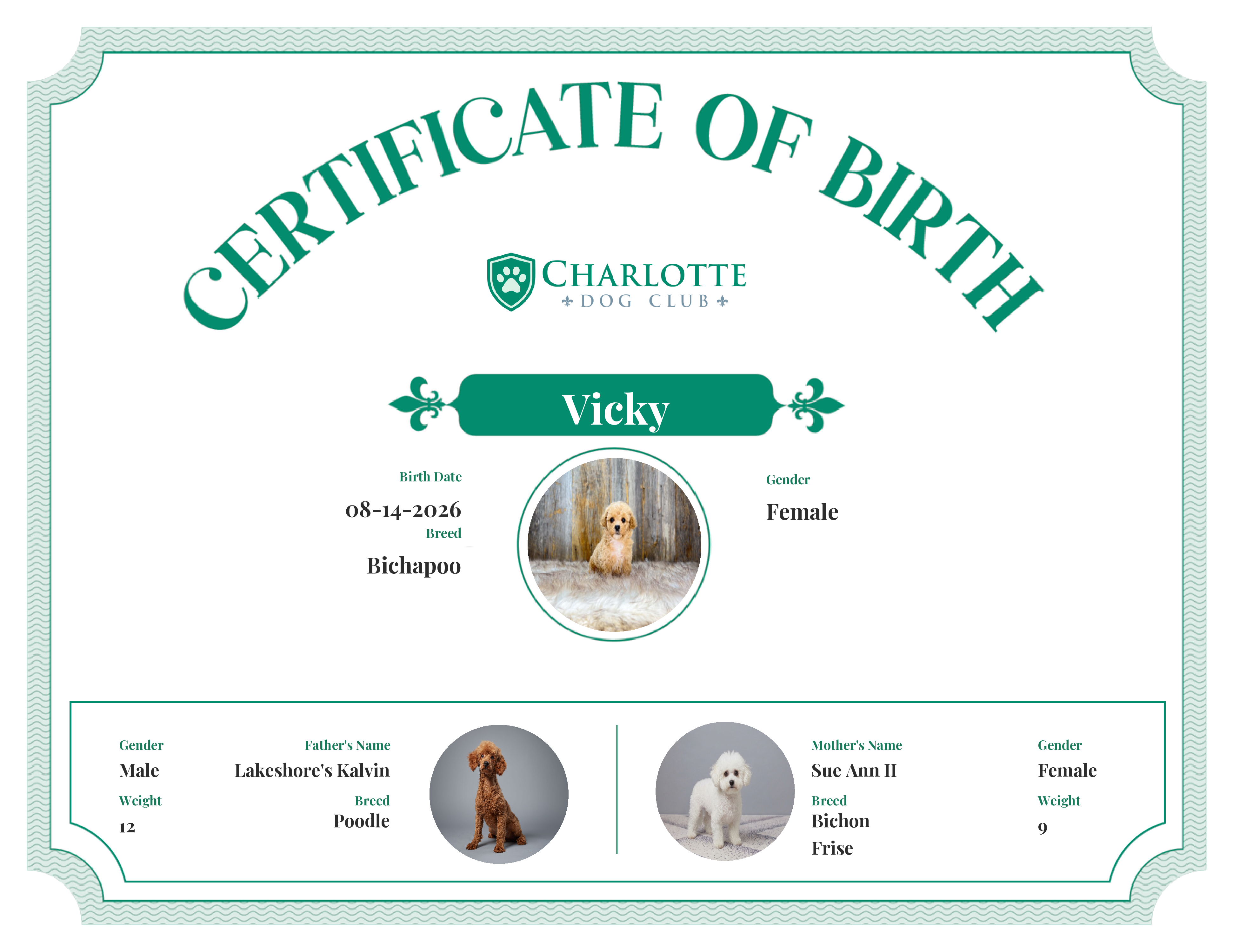 Vicky's Birth Certificate