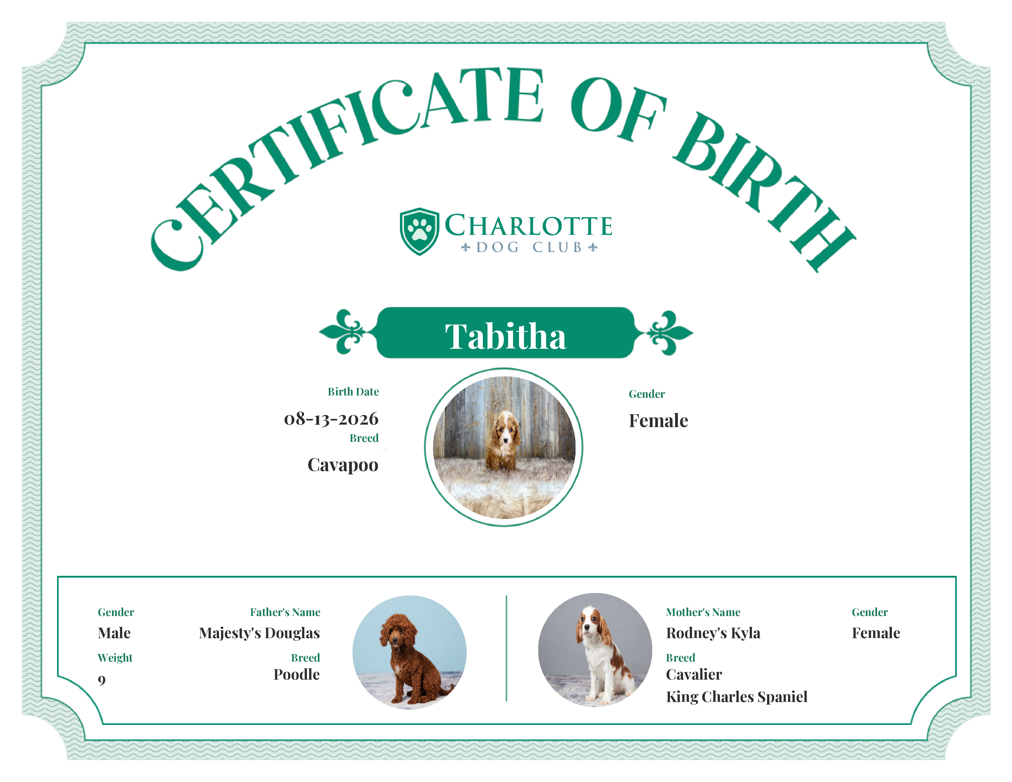 Tabitha's Birth Certificate