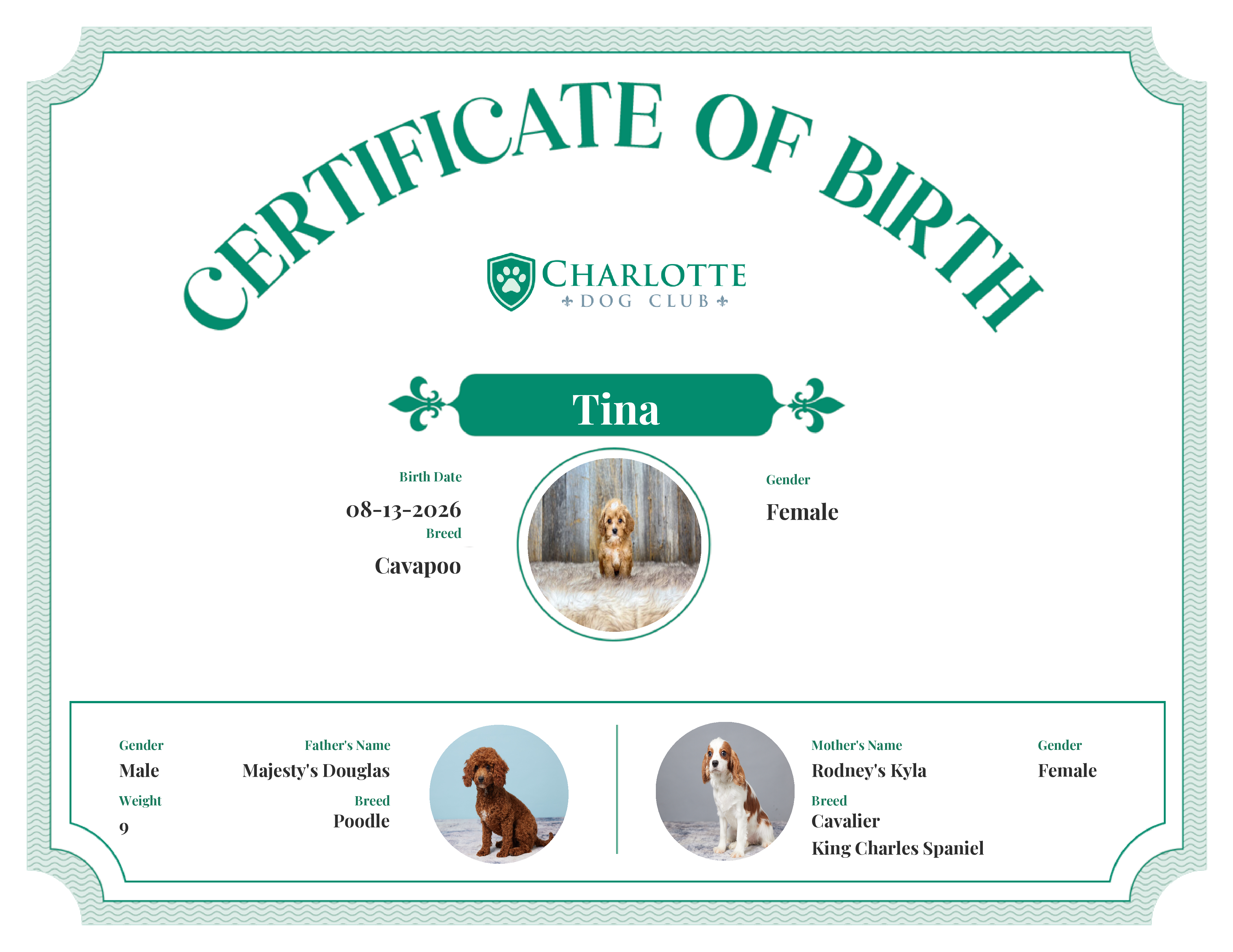 Tina's Birth Certificate