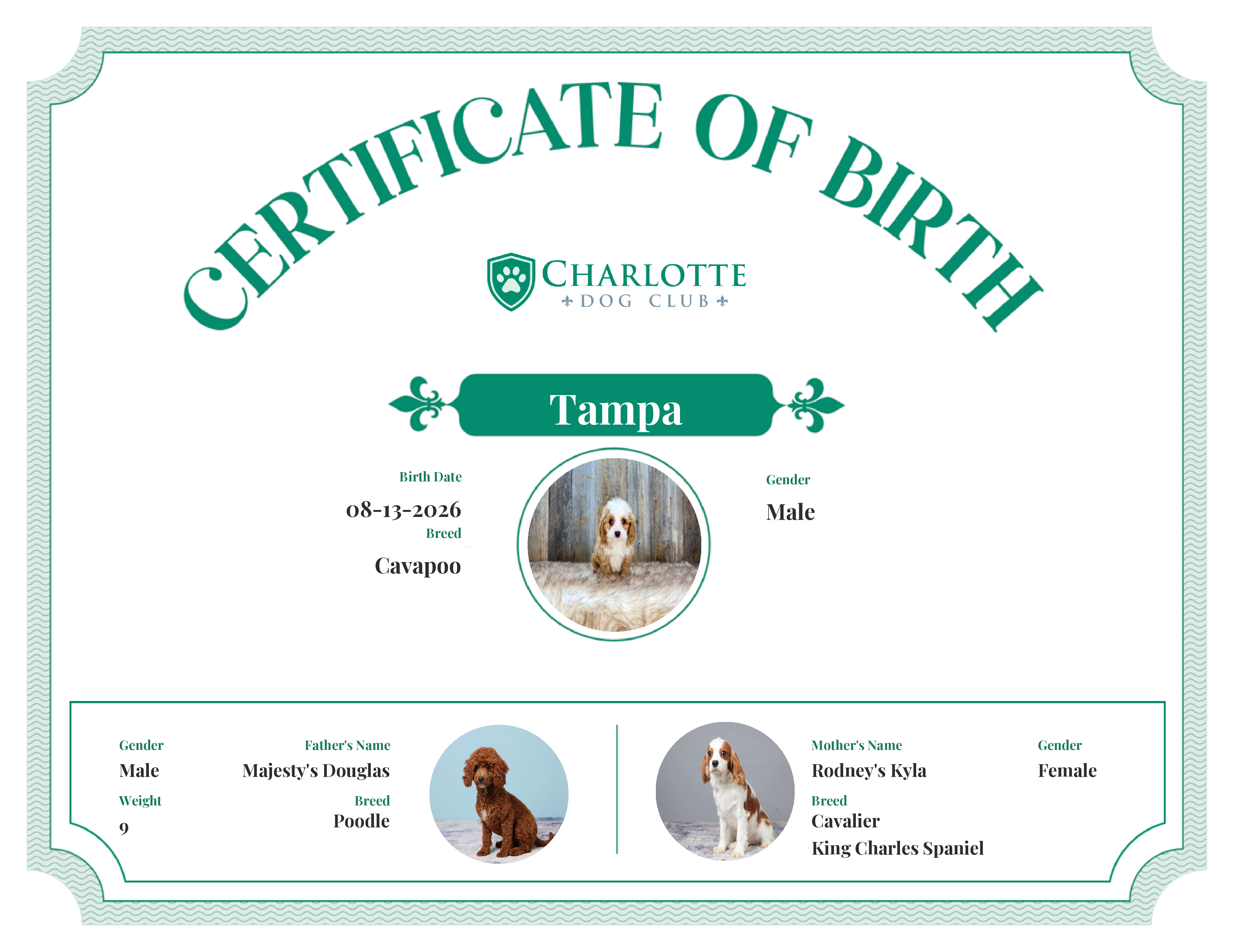 Tampa's Birth Certificate