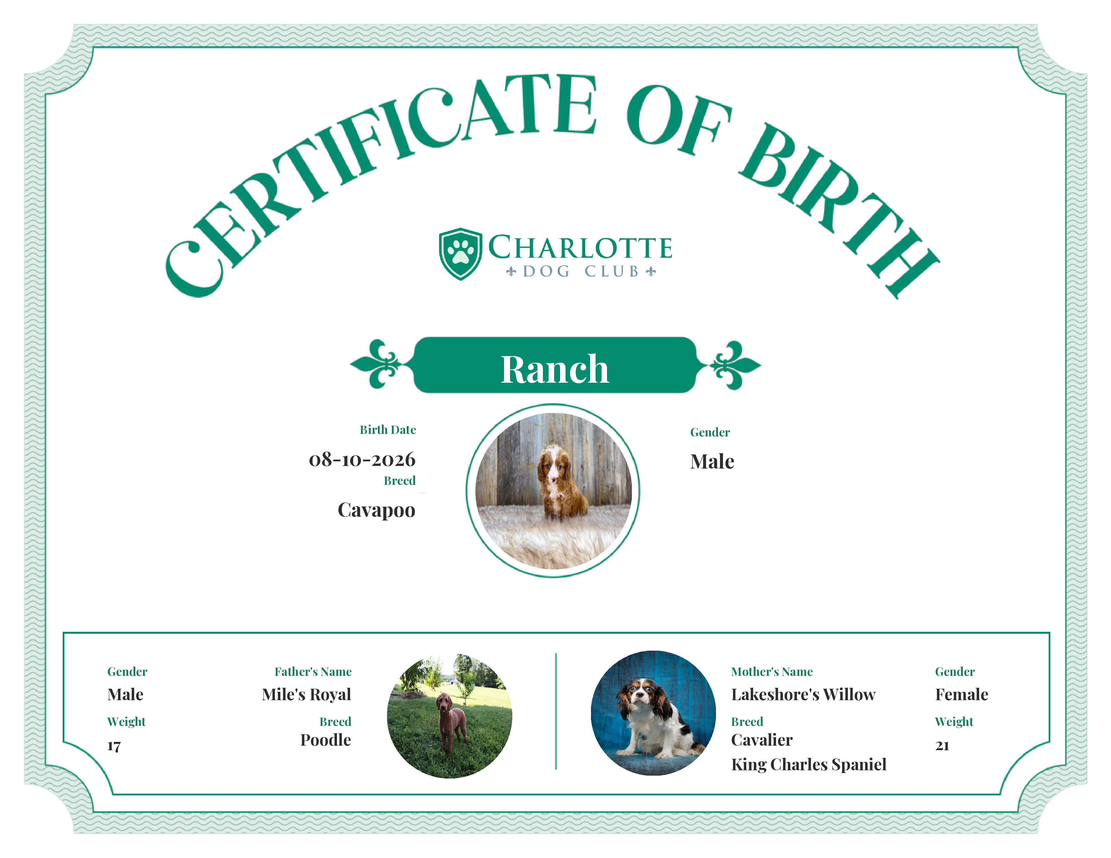 Ranch's Birth Certificate
