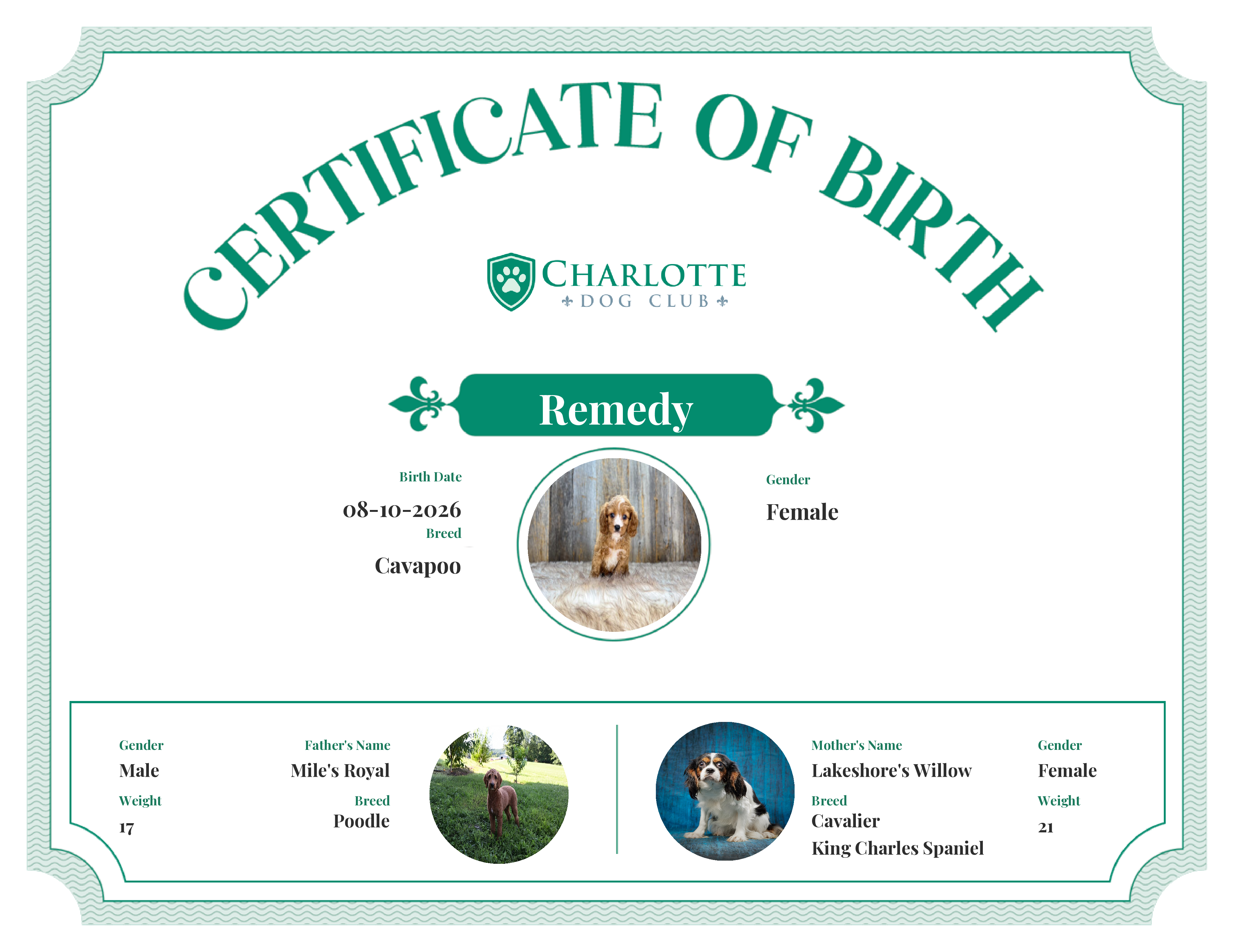 Remedy's Birth Certificate