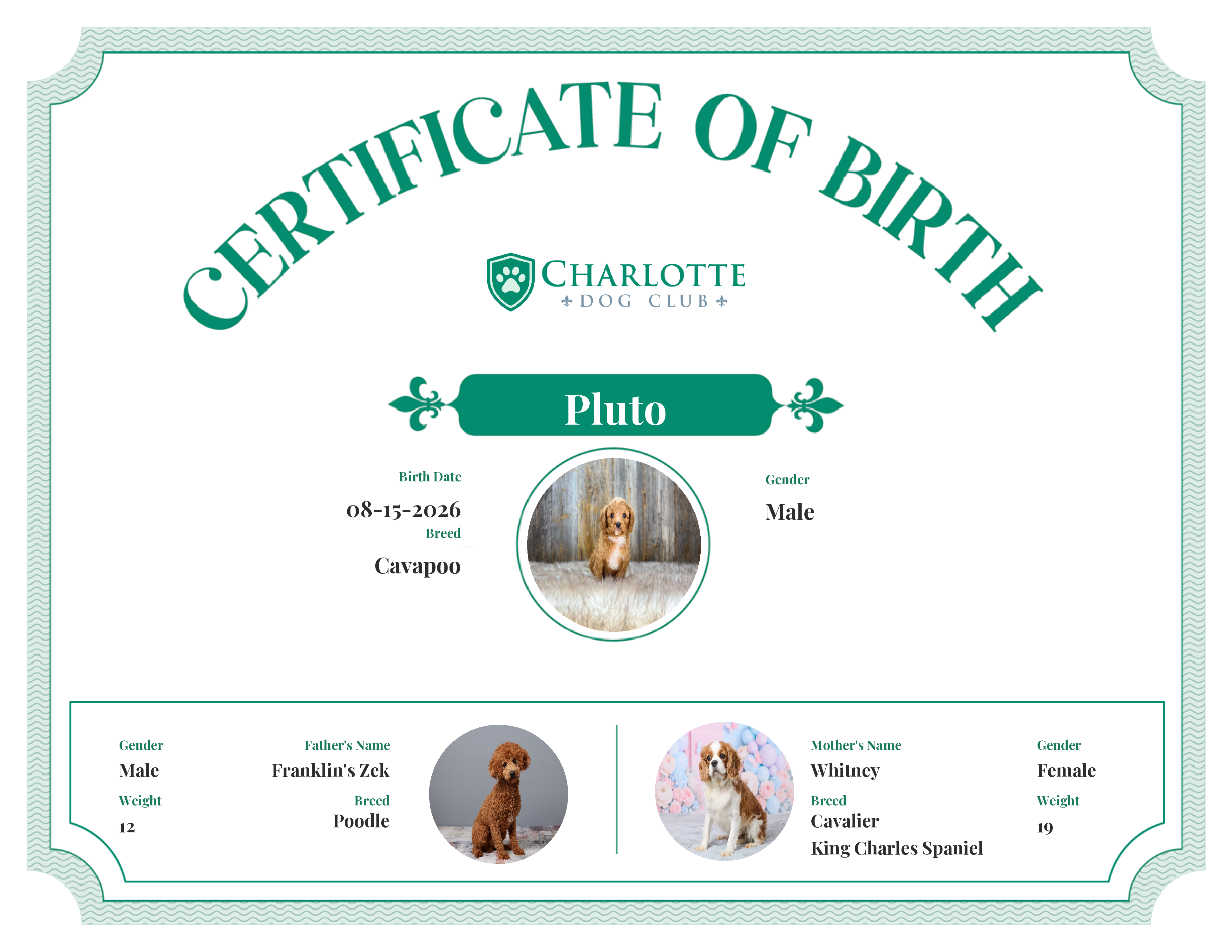 Pluto's Birth Certificate