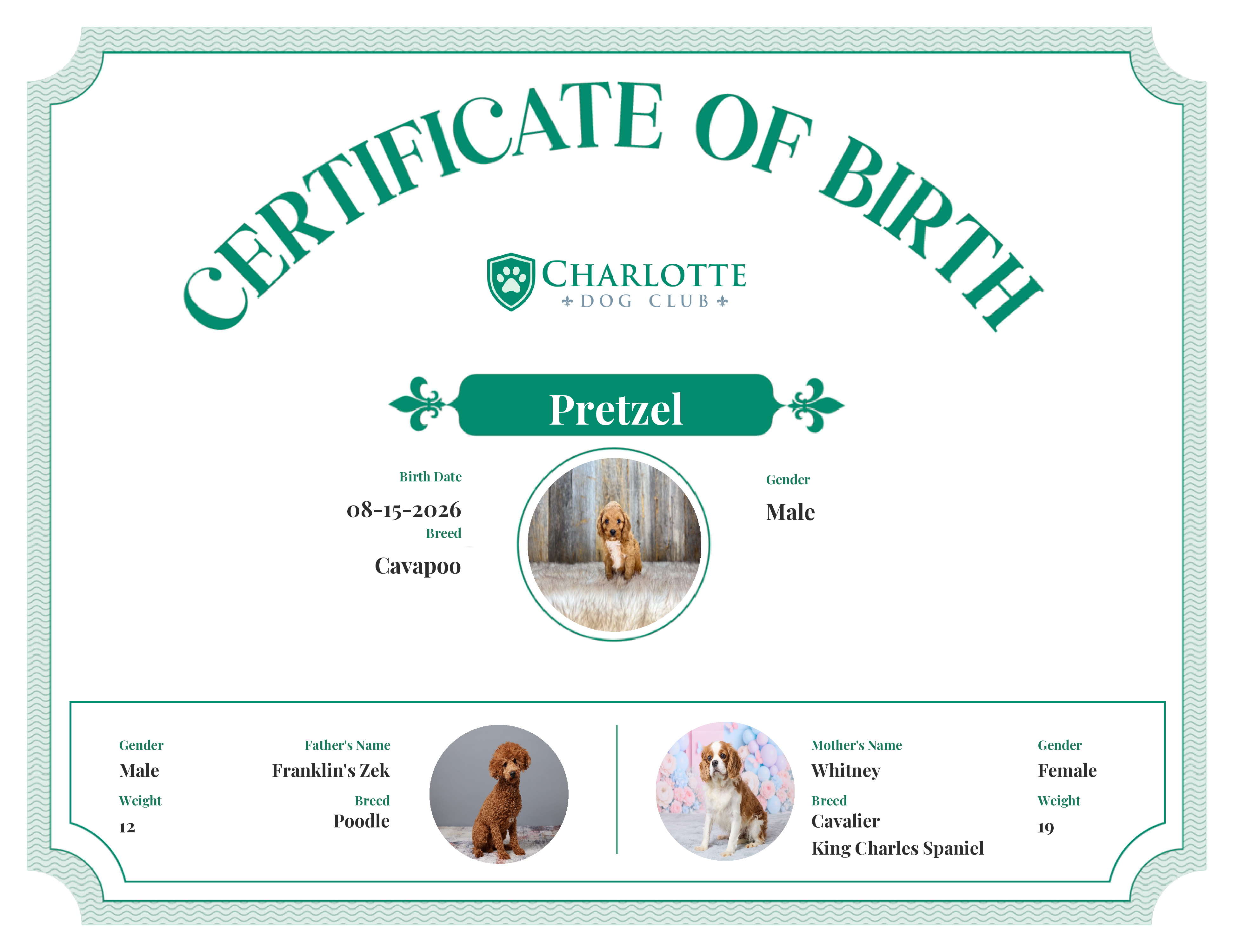 Pretzel's Birth Certificate