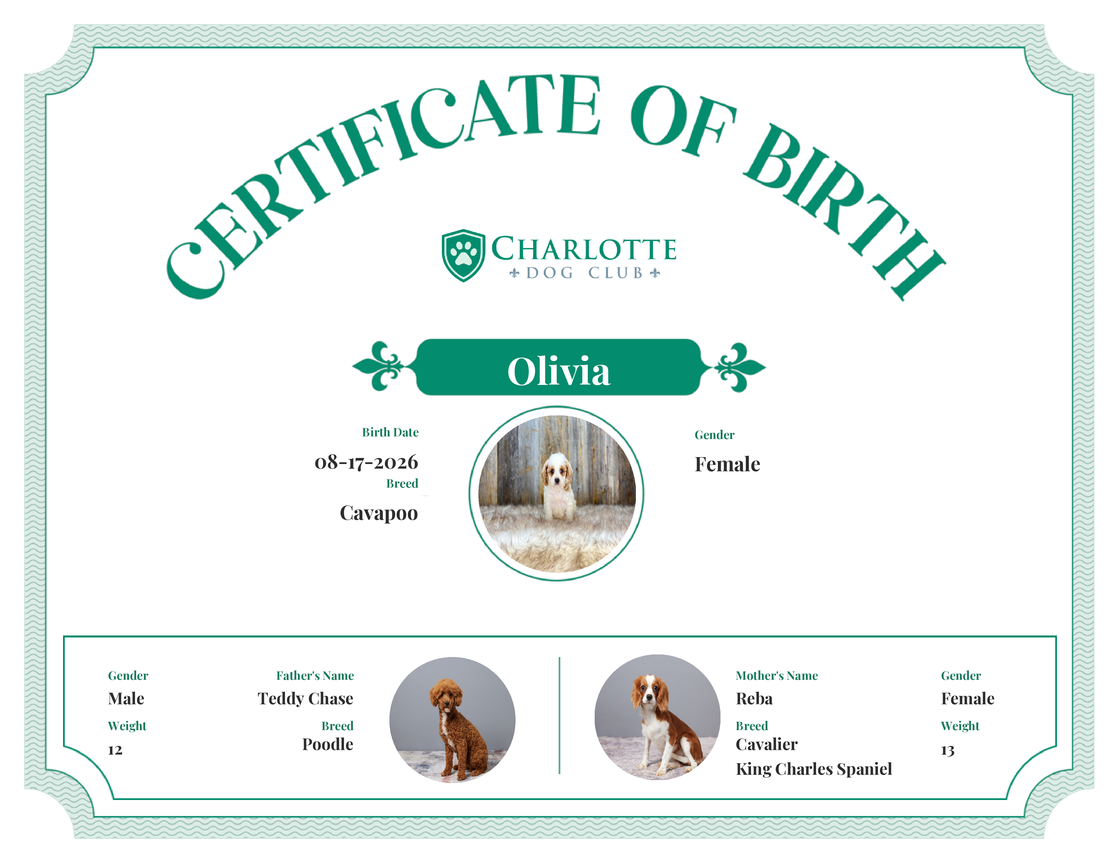 Olivia's Birth Certificate