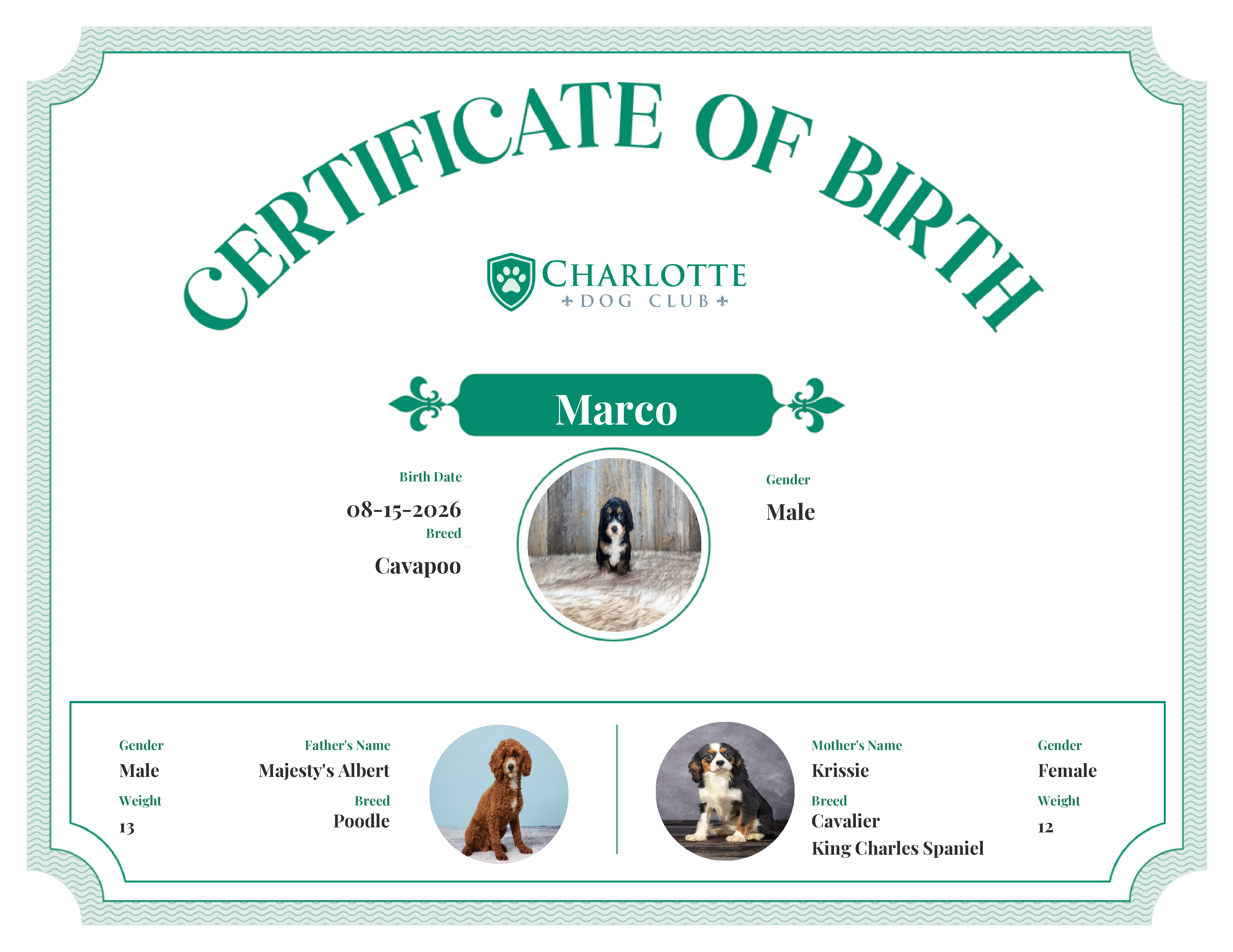 Marco's Birth Certificate