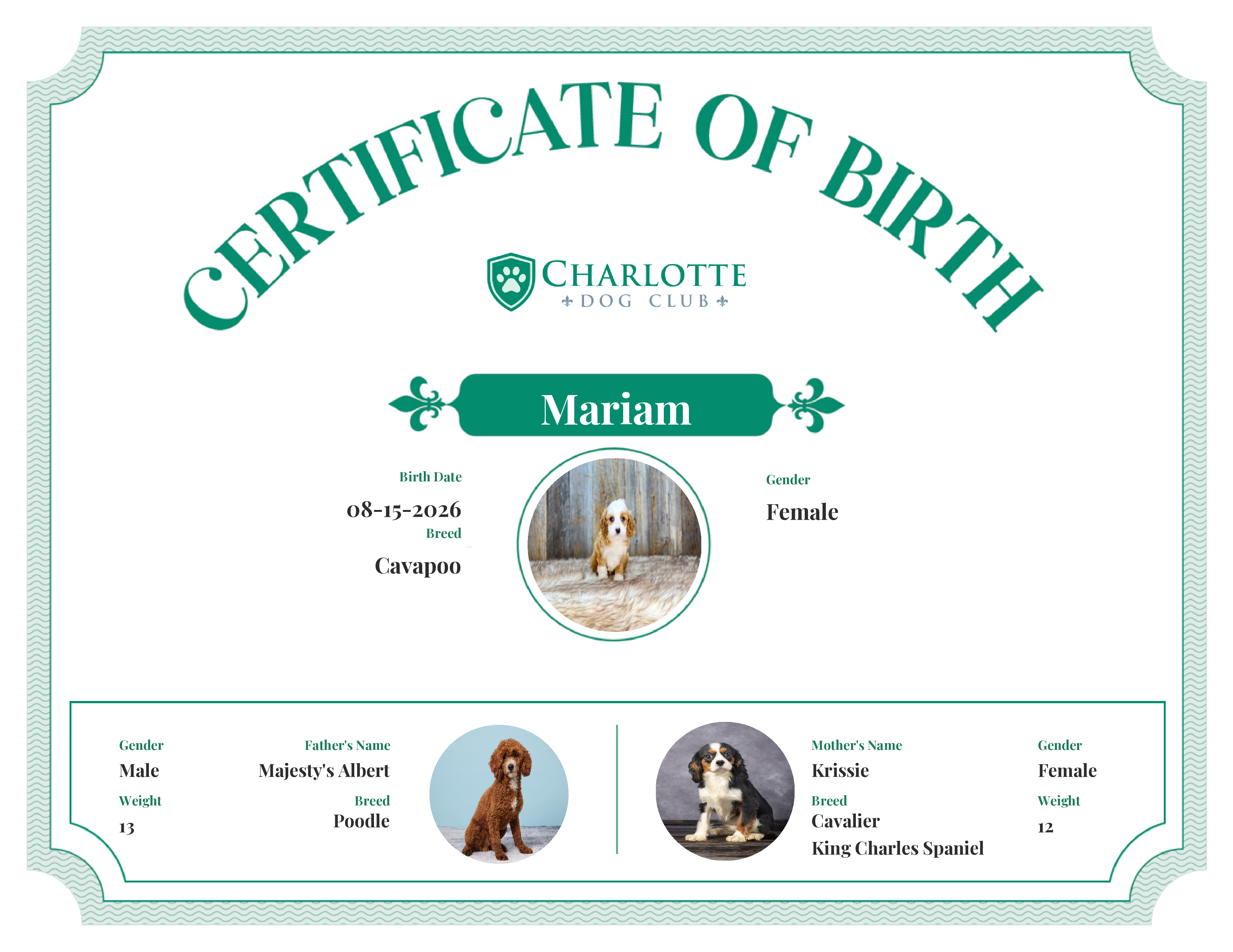 Mariam's Birth Certificate
