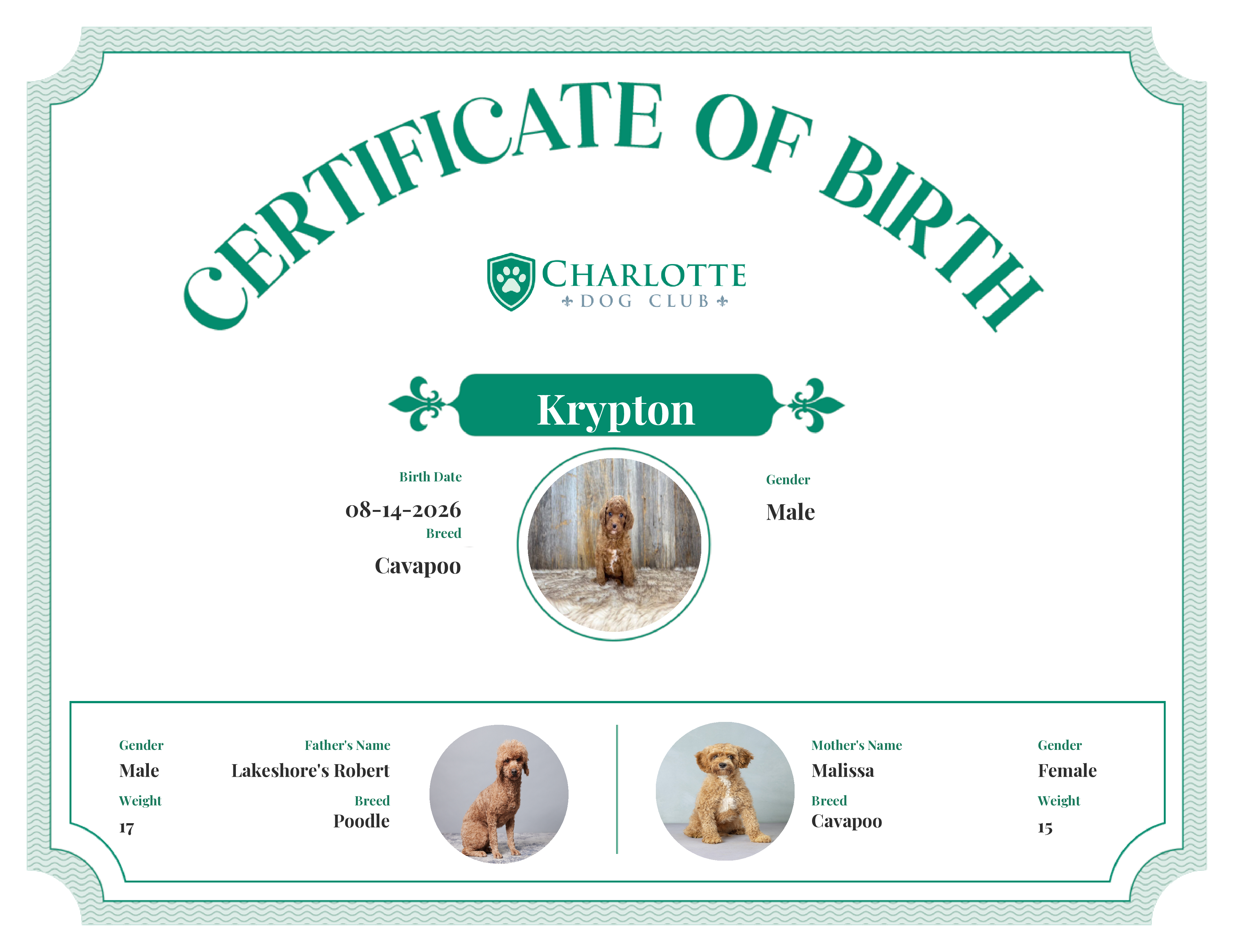 Krypton's Birth Certificate