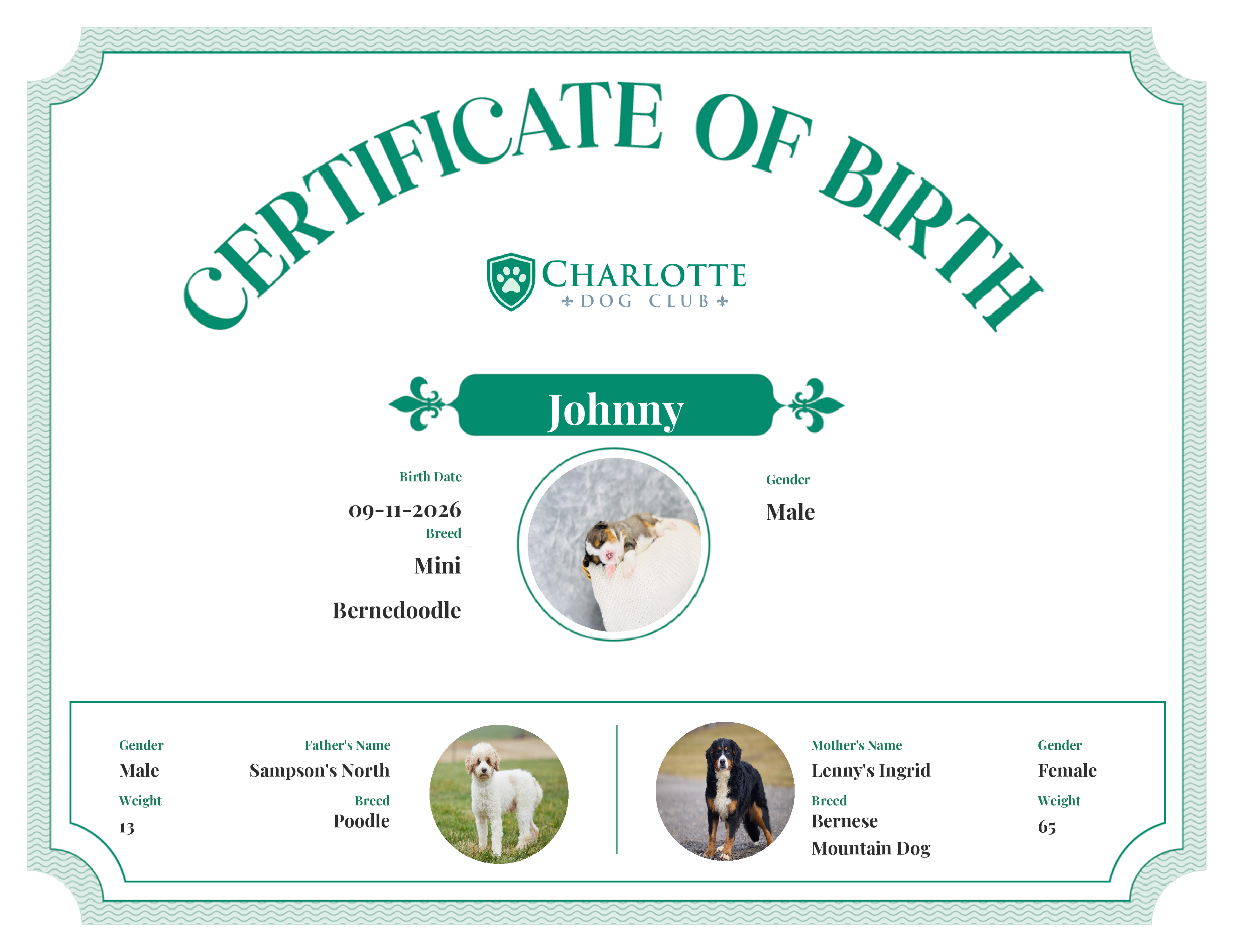 Johnny's Birth Certificate