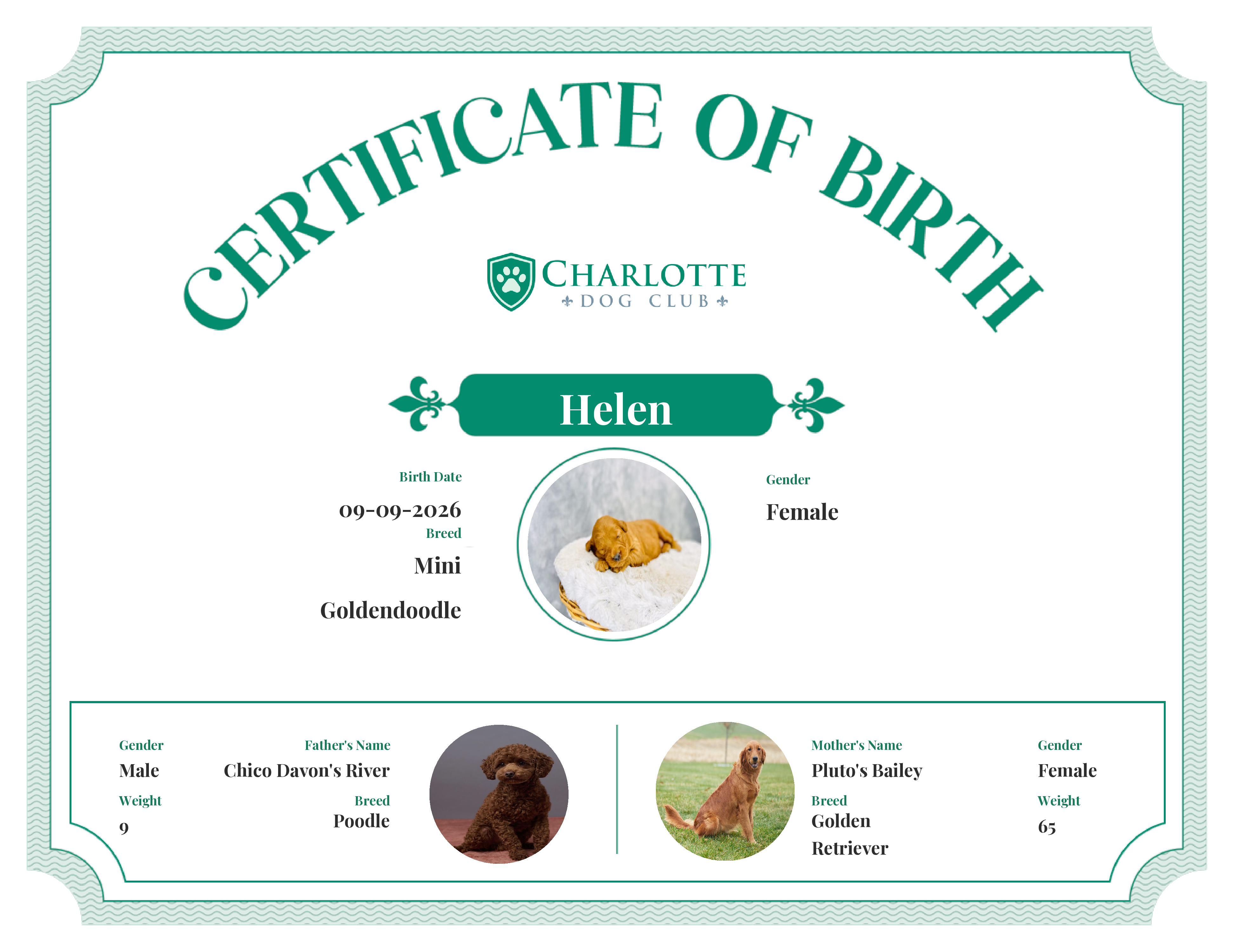Helen's Birth Certificate