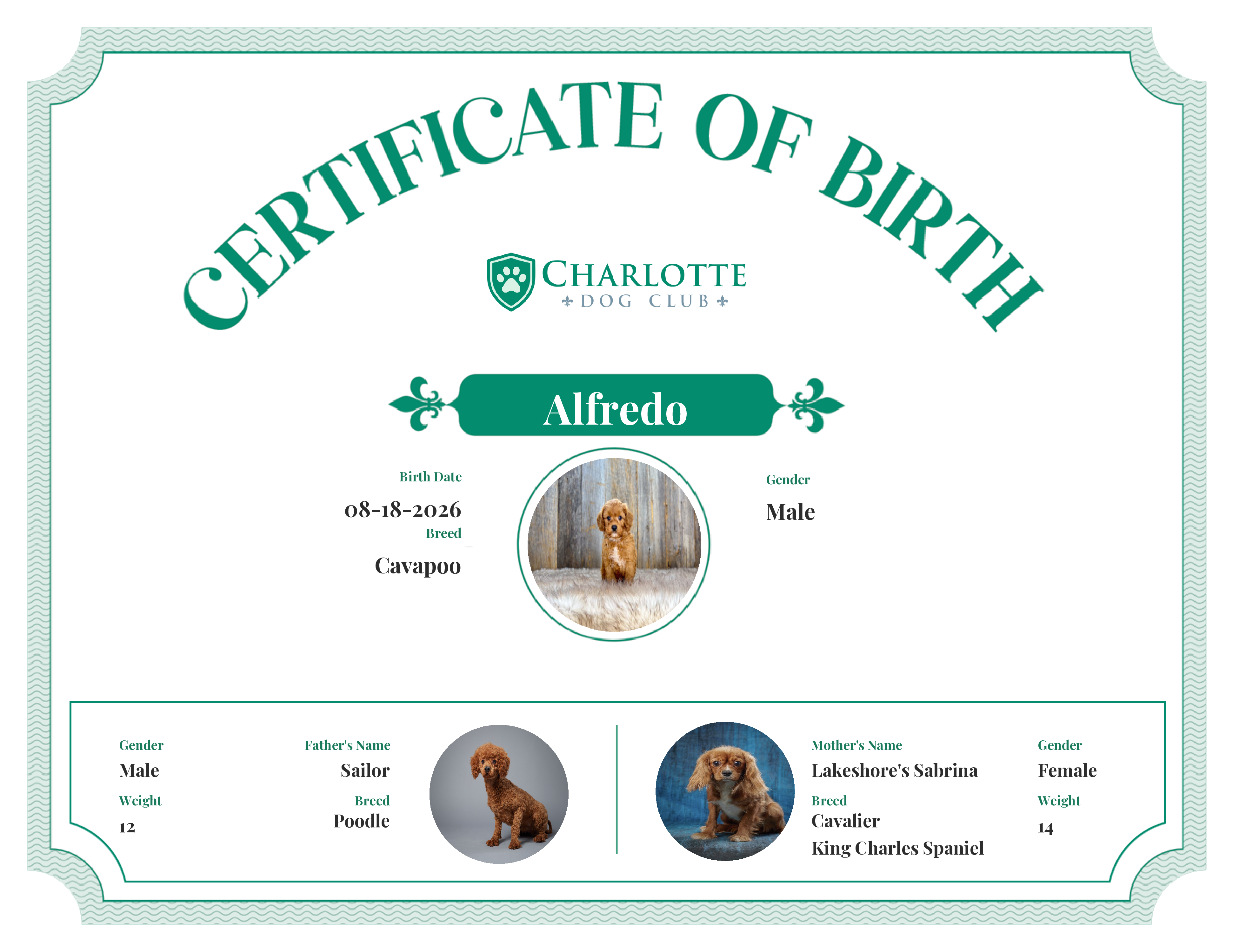 Alfredo's Birth Certificate