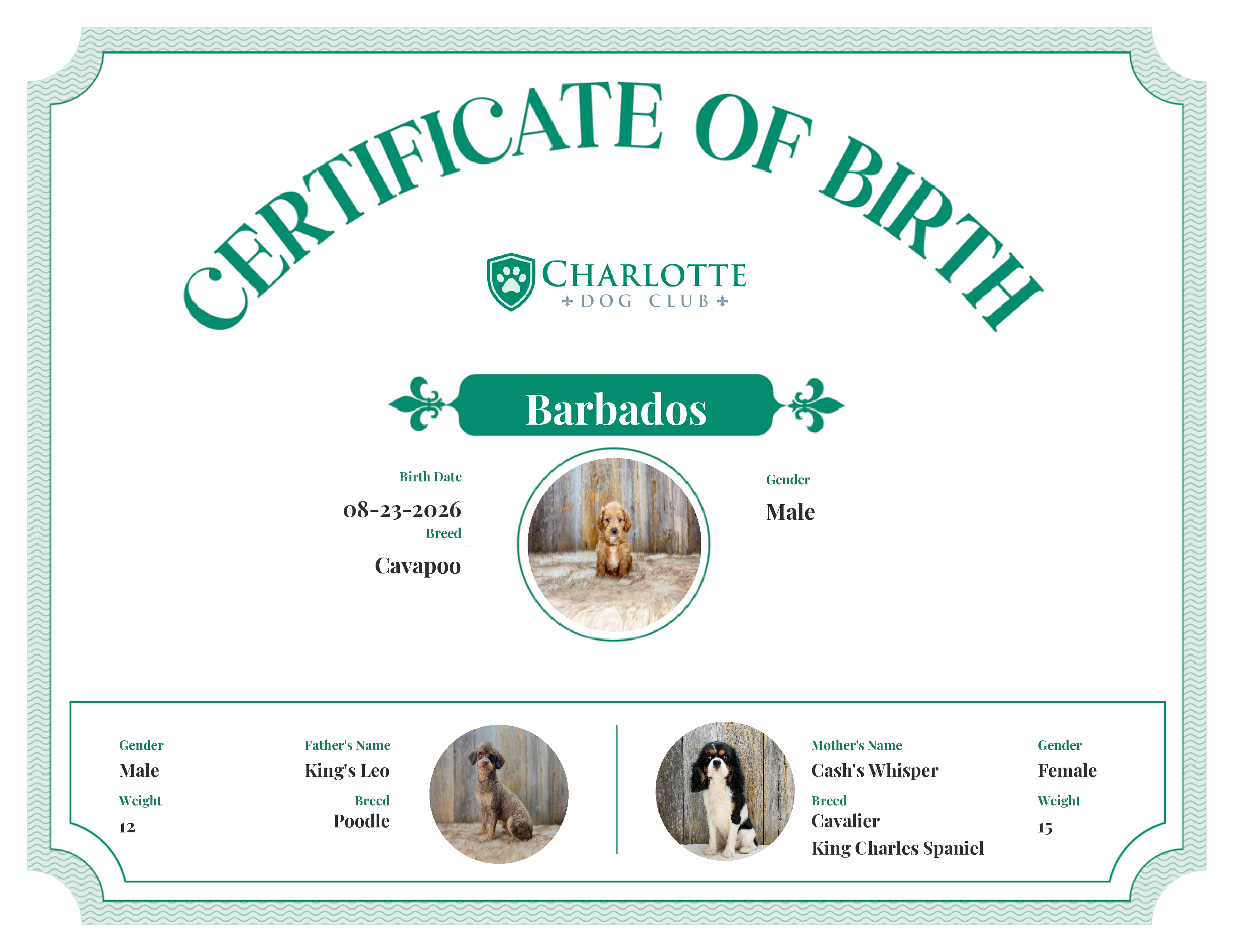 Barbados's Birth Certificate