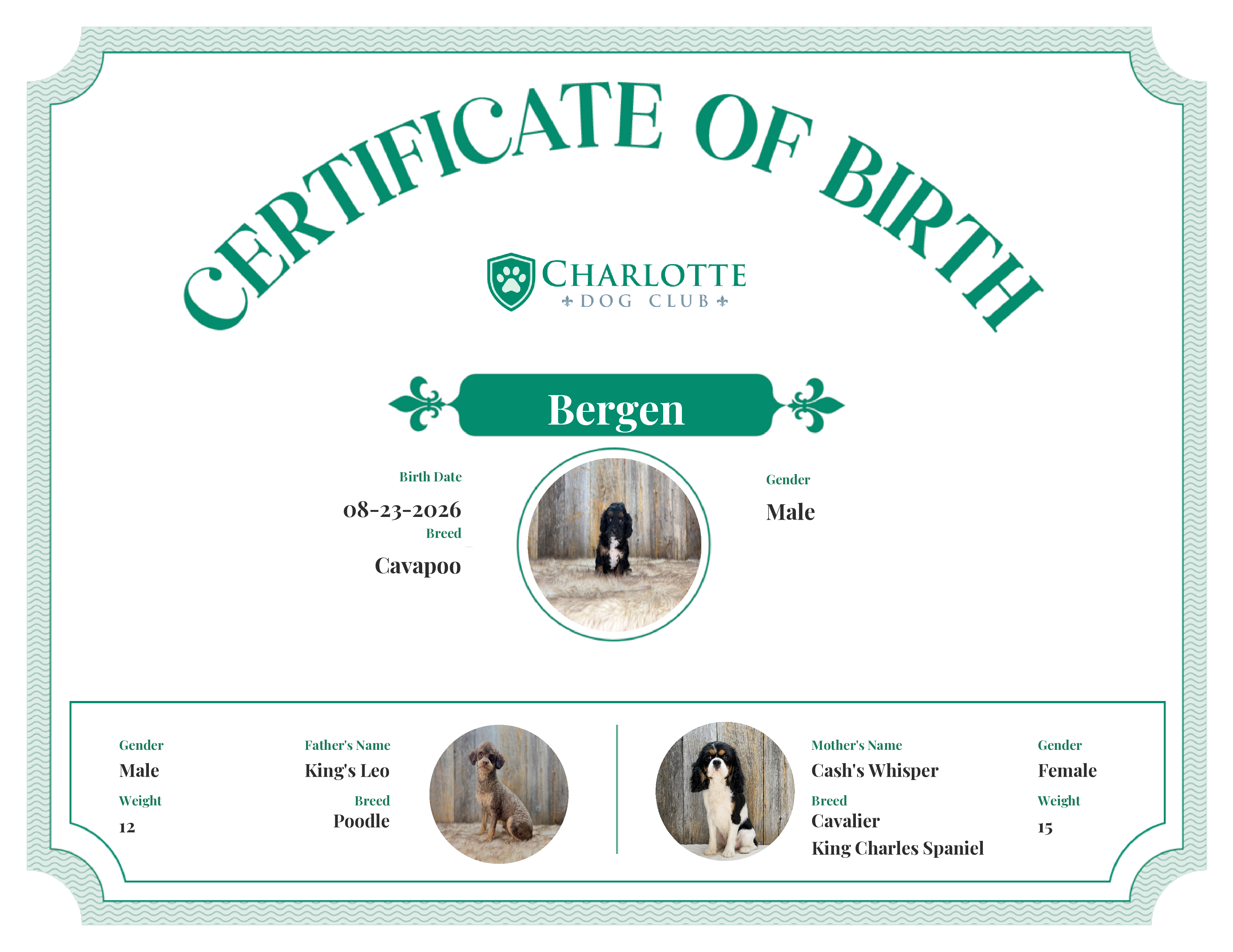 Bergen's Birth Certificate