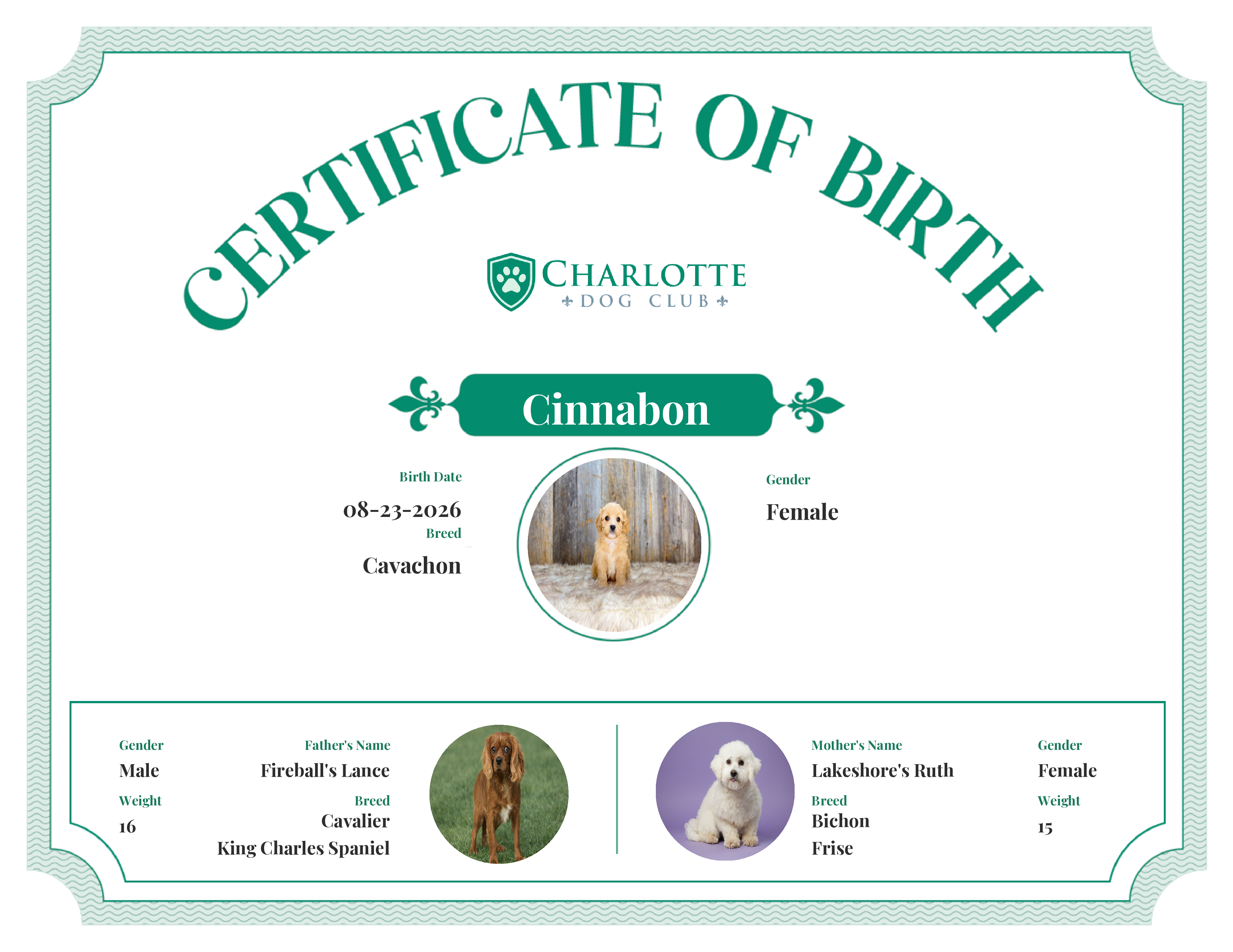 Cinnabon's Birth Certificate