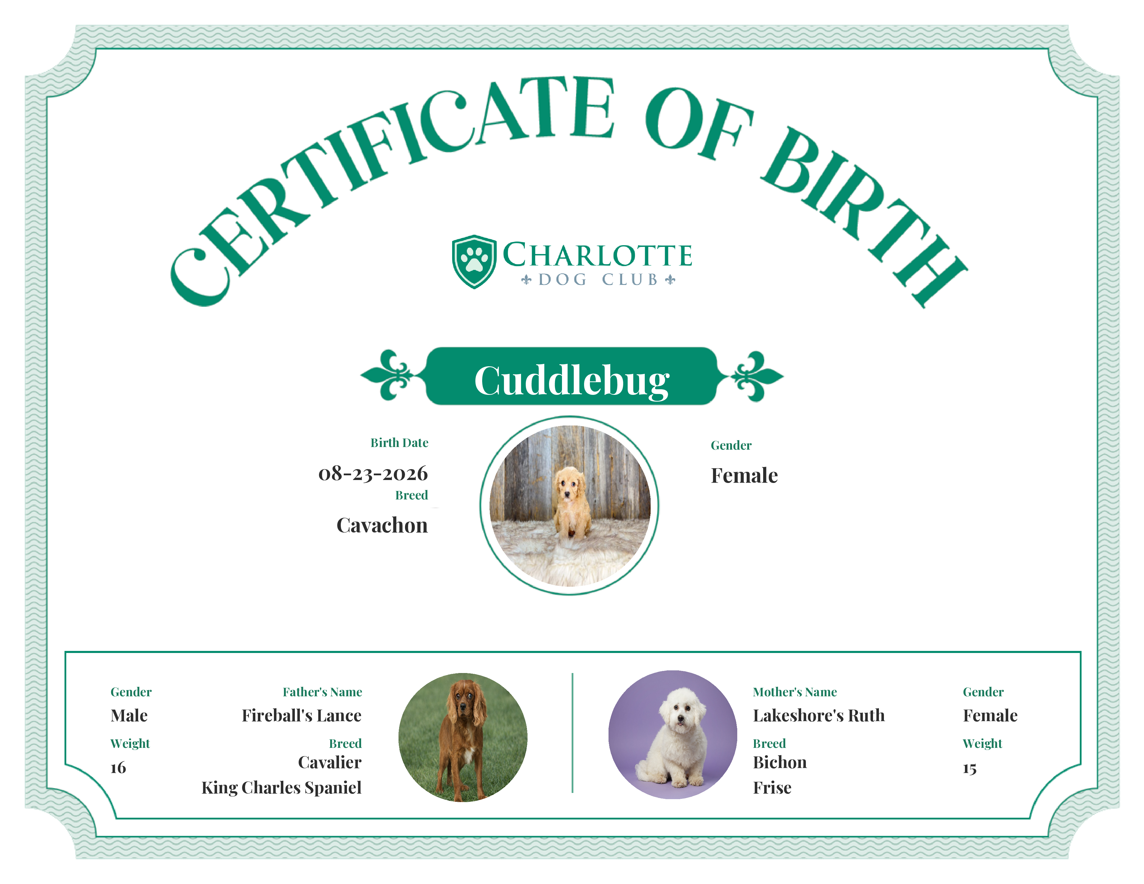 Cuddlebug's Birth Certificate
