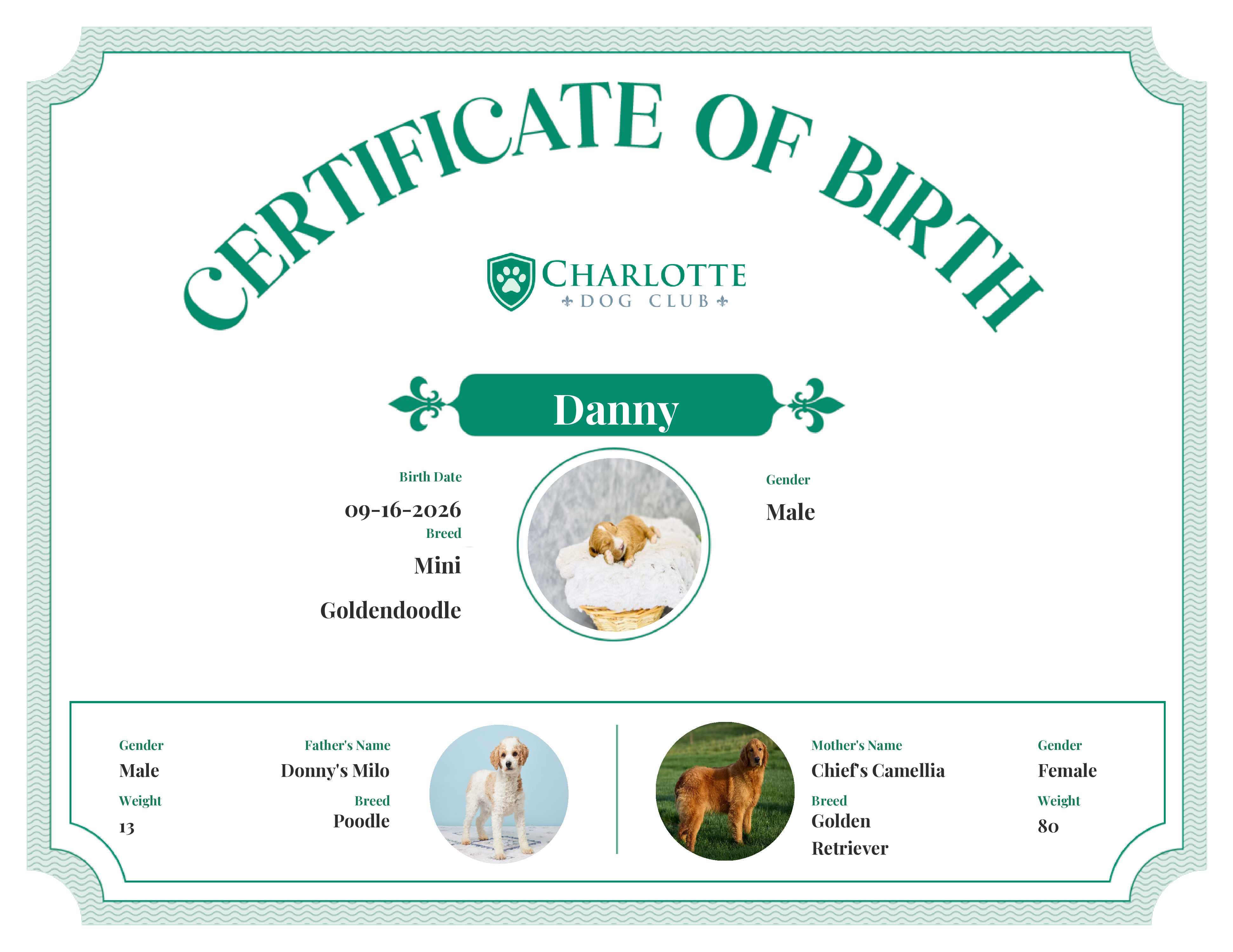 Danny's Birth Certificate