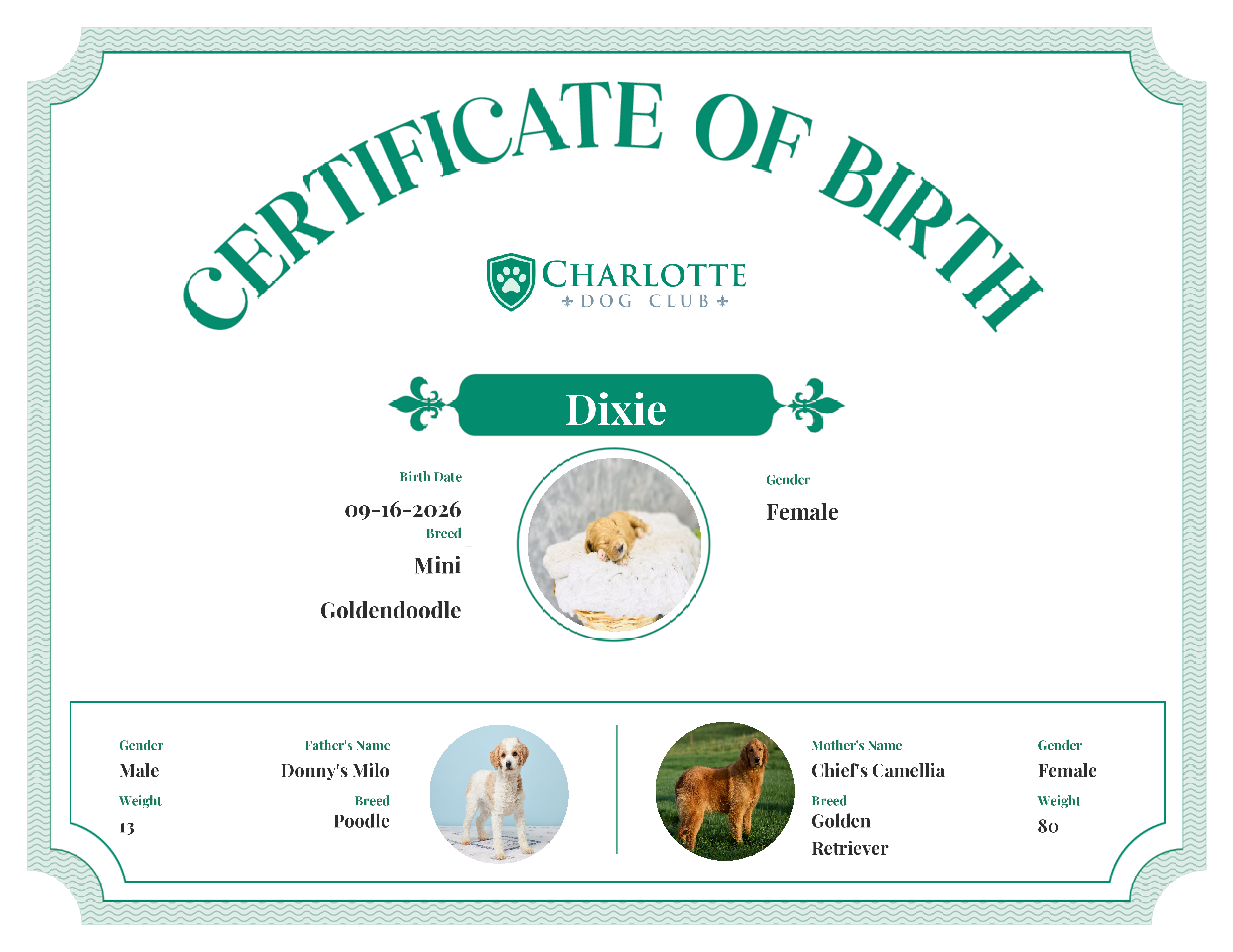 Dixie's Birth Certificate