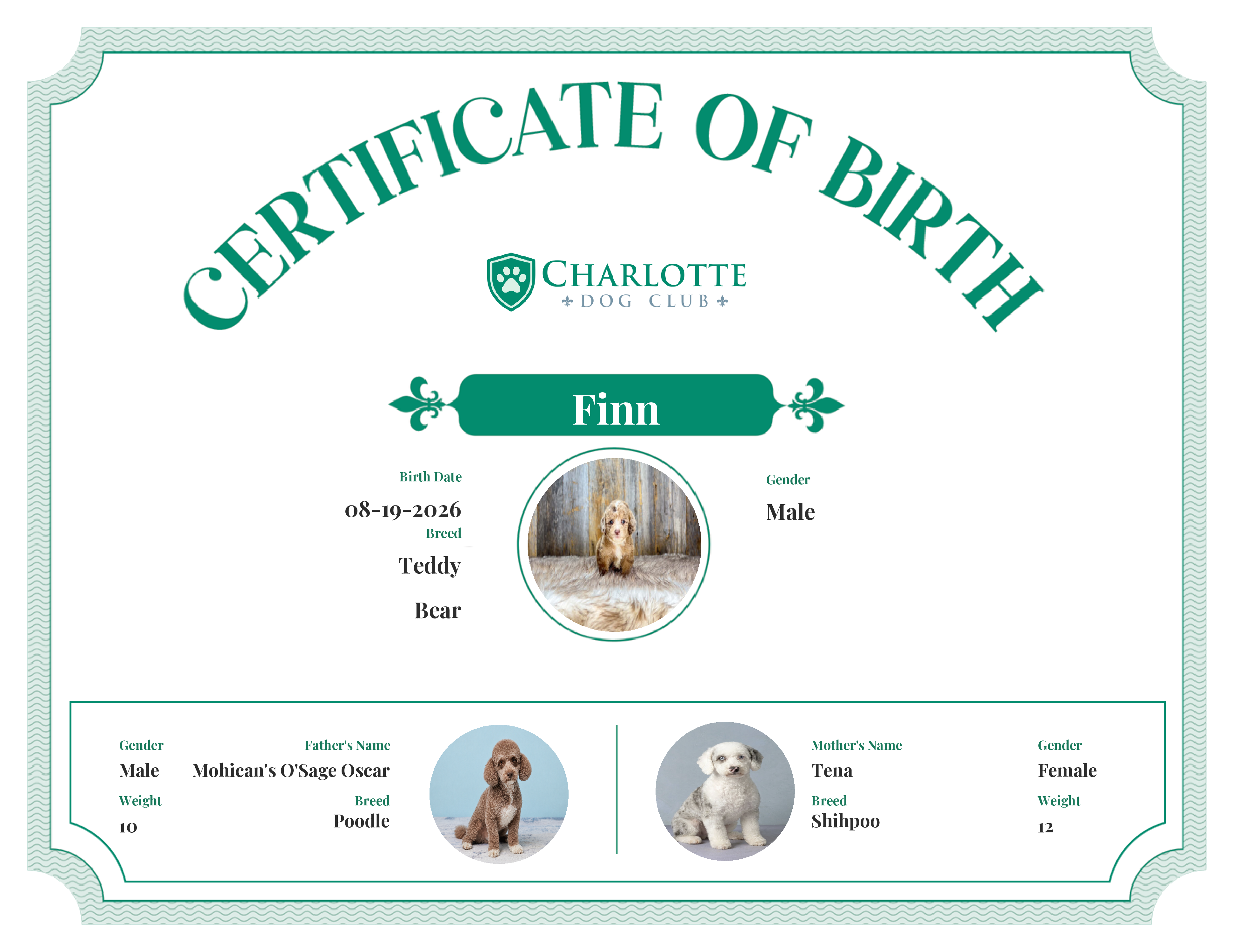 Finn's Birth Certificate