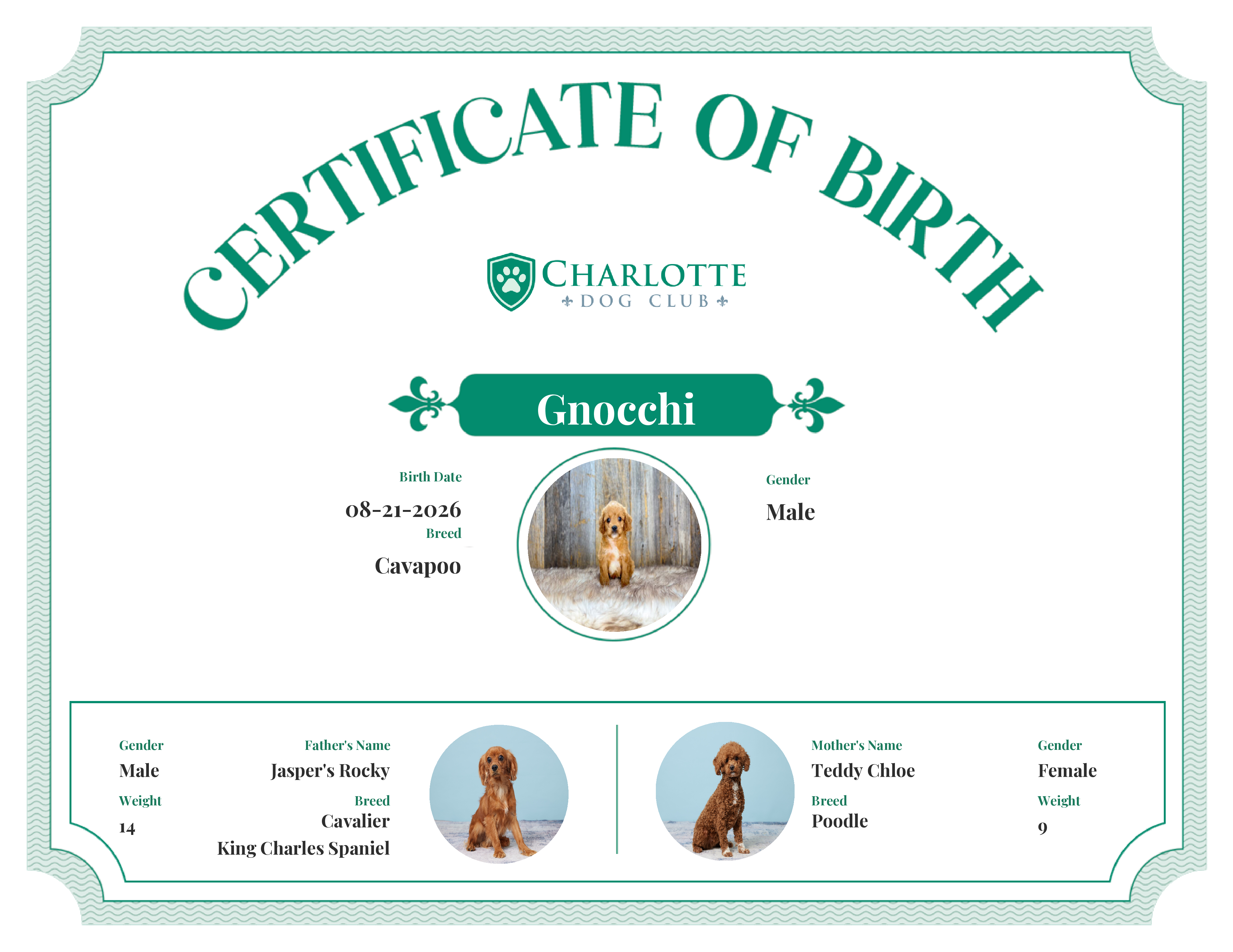 Gnocchi's Birth Certificate