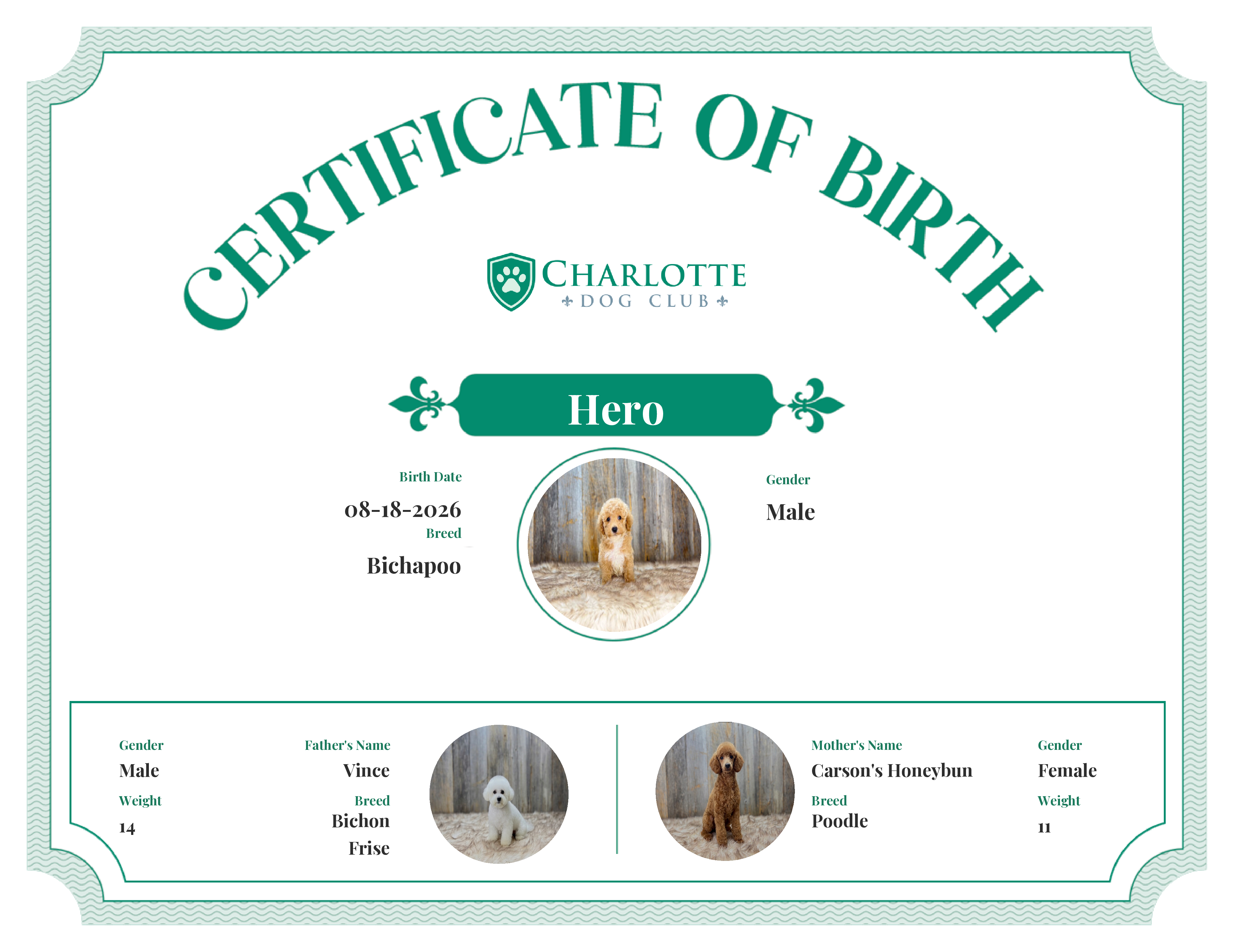 Hero's Birth Certificate
