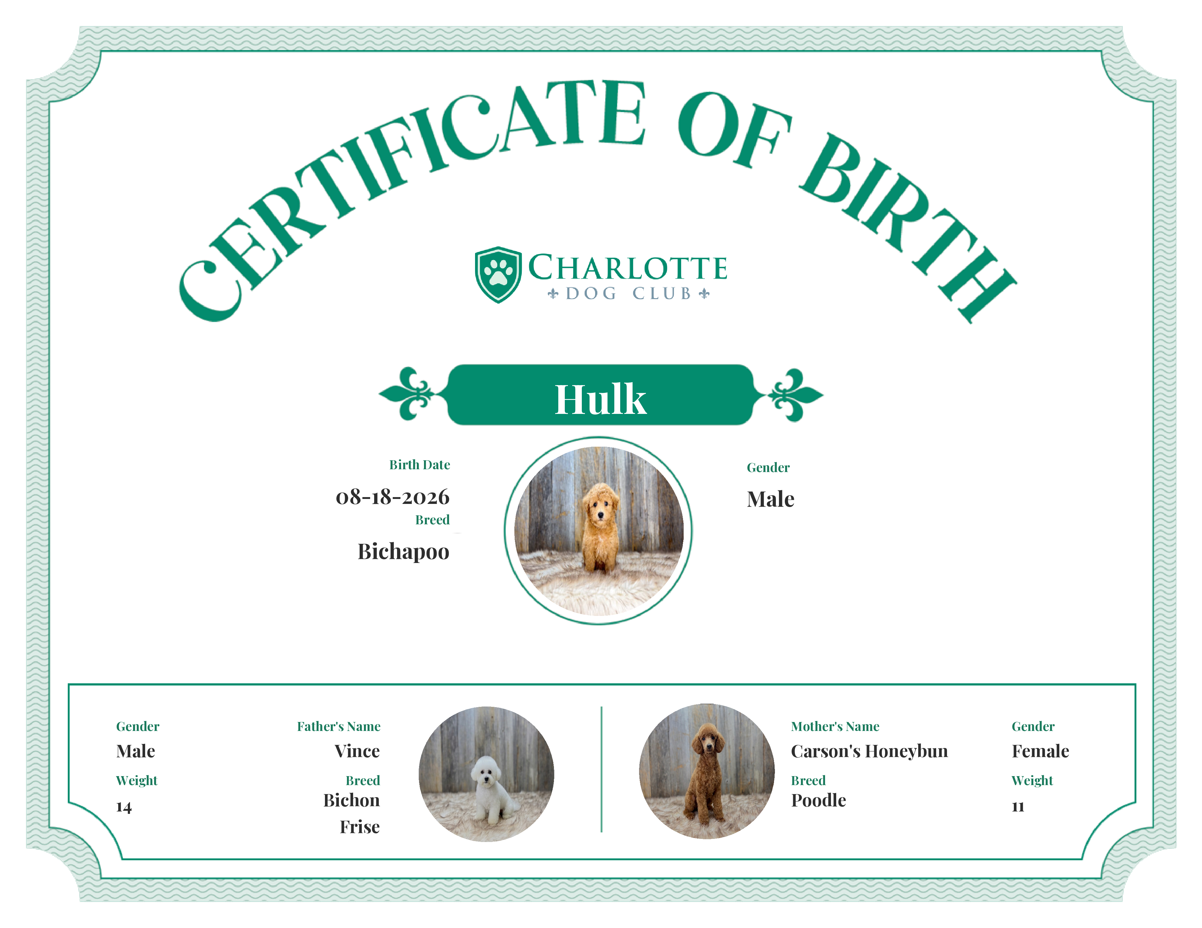 Hulk's Birth Certificate