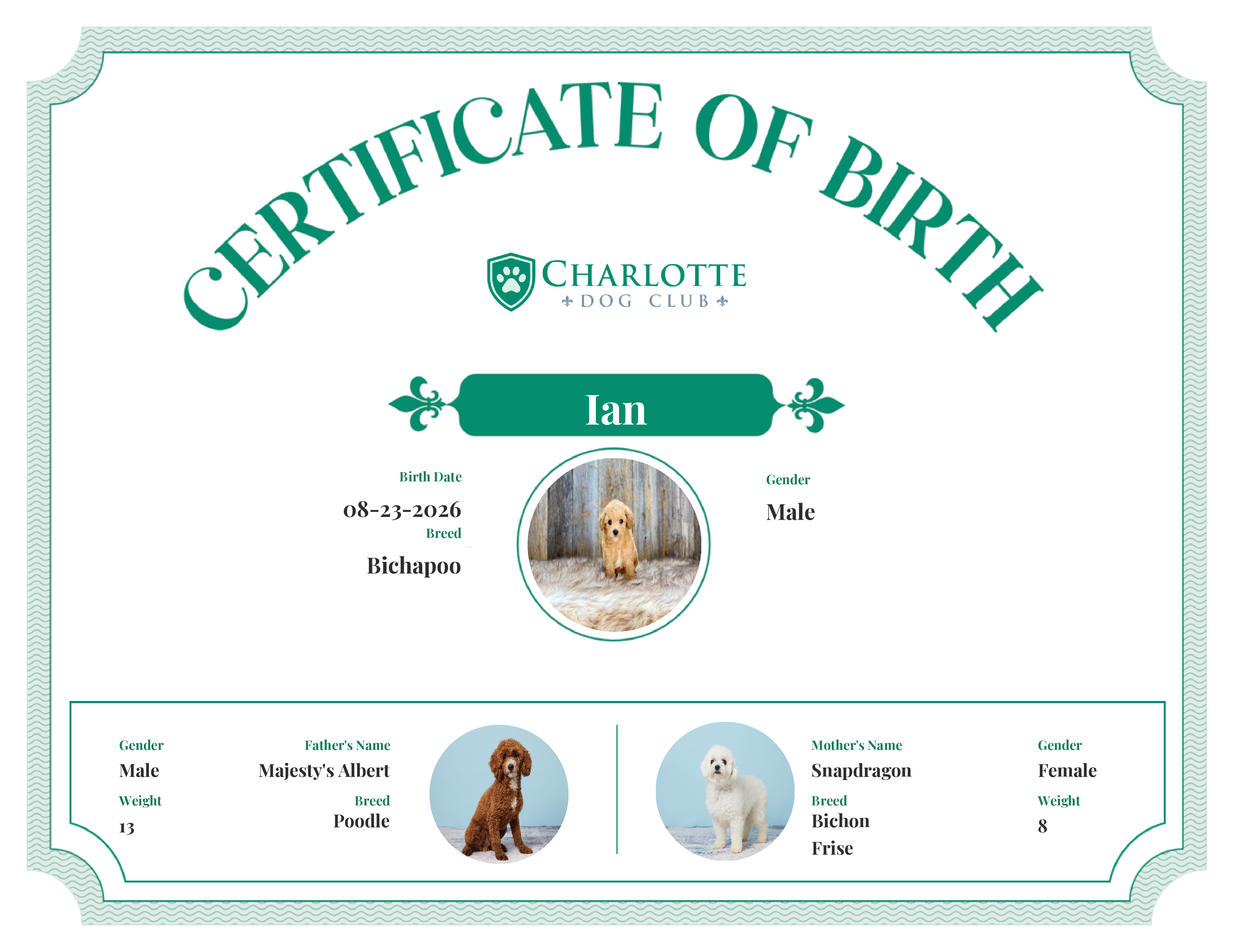 Ian's Birth Certificate