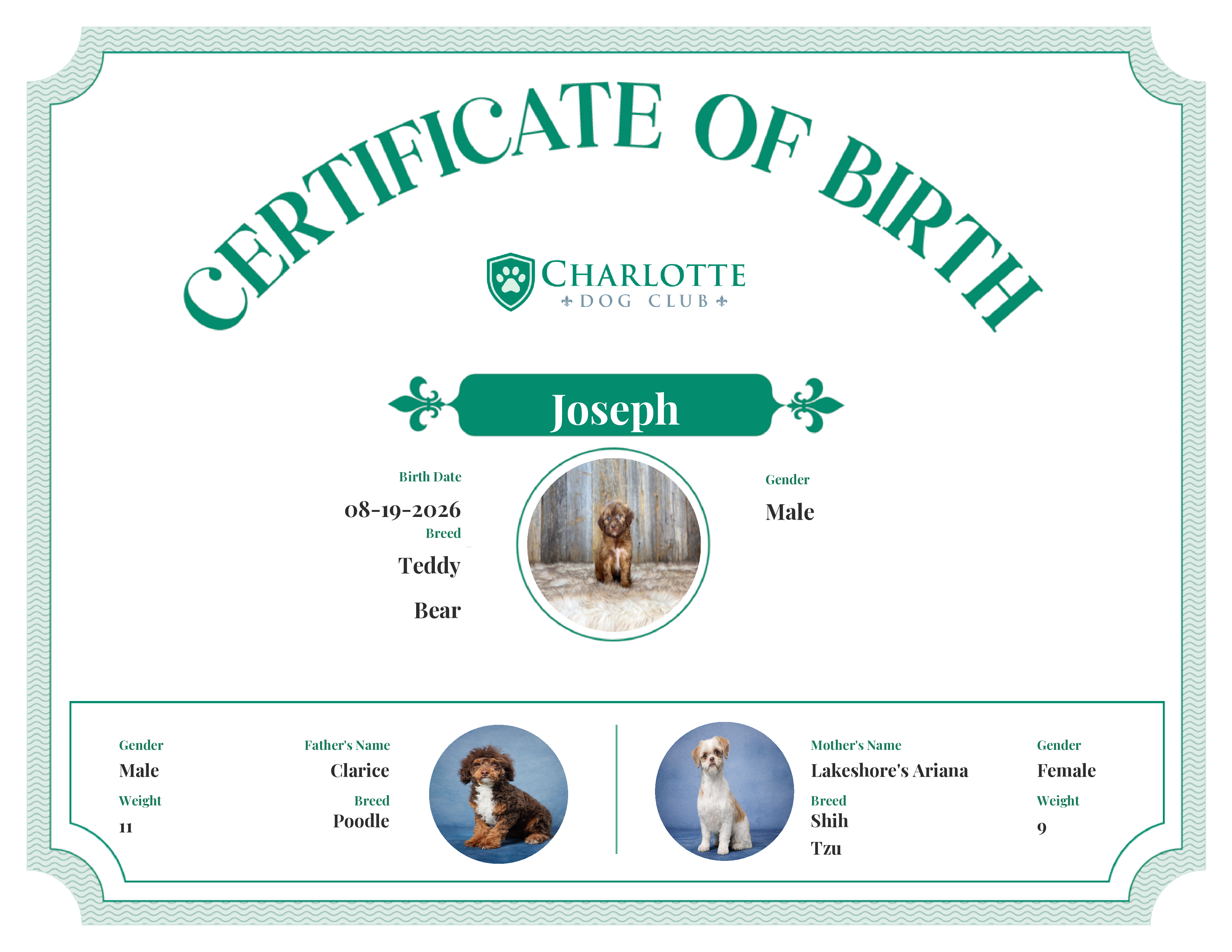 Joseph's Birth Certificate