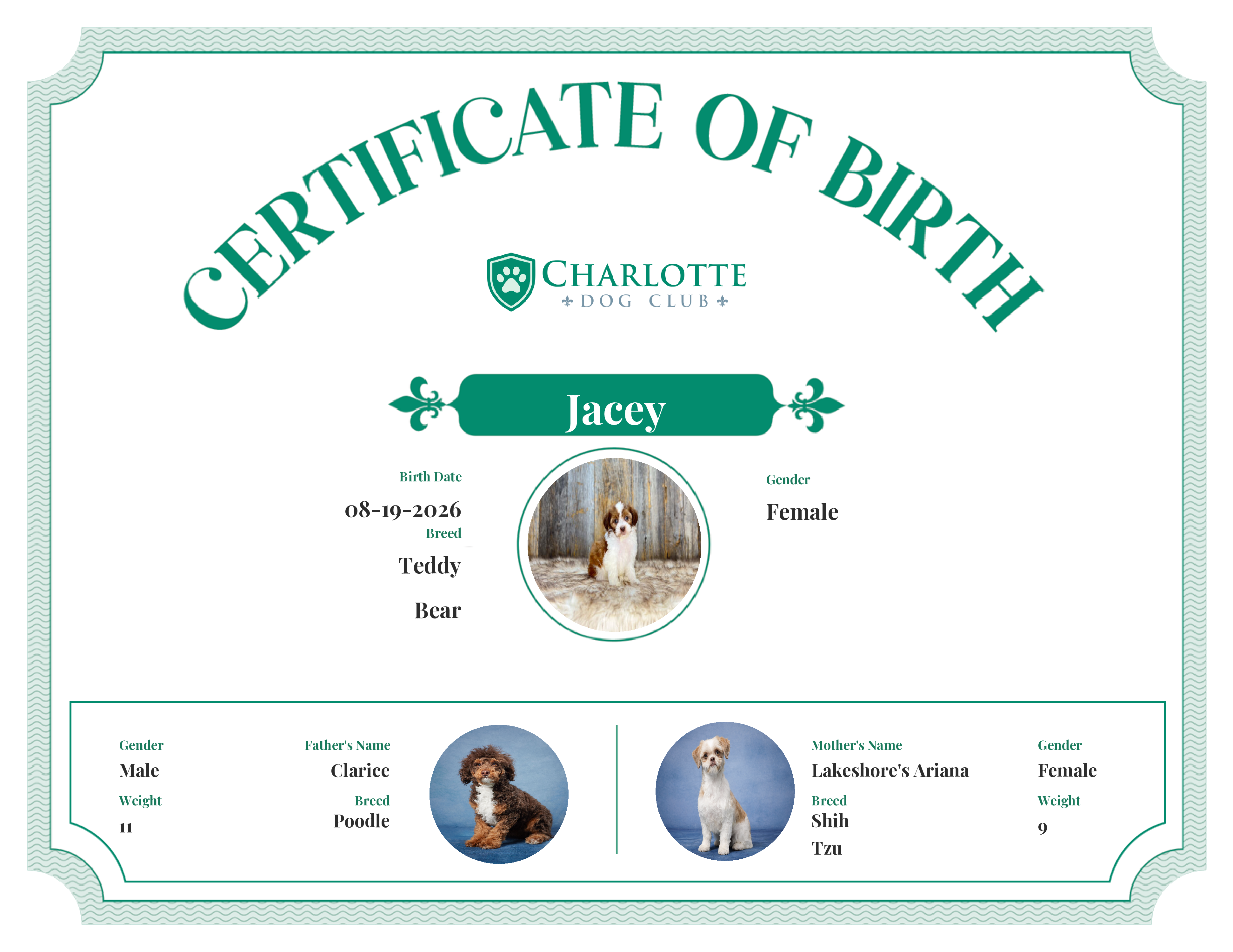 Jacey's Birth Certificate