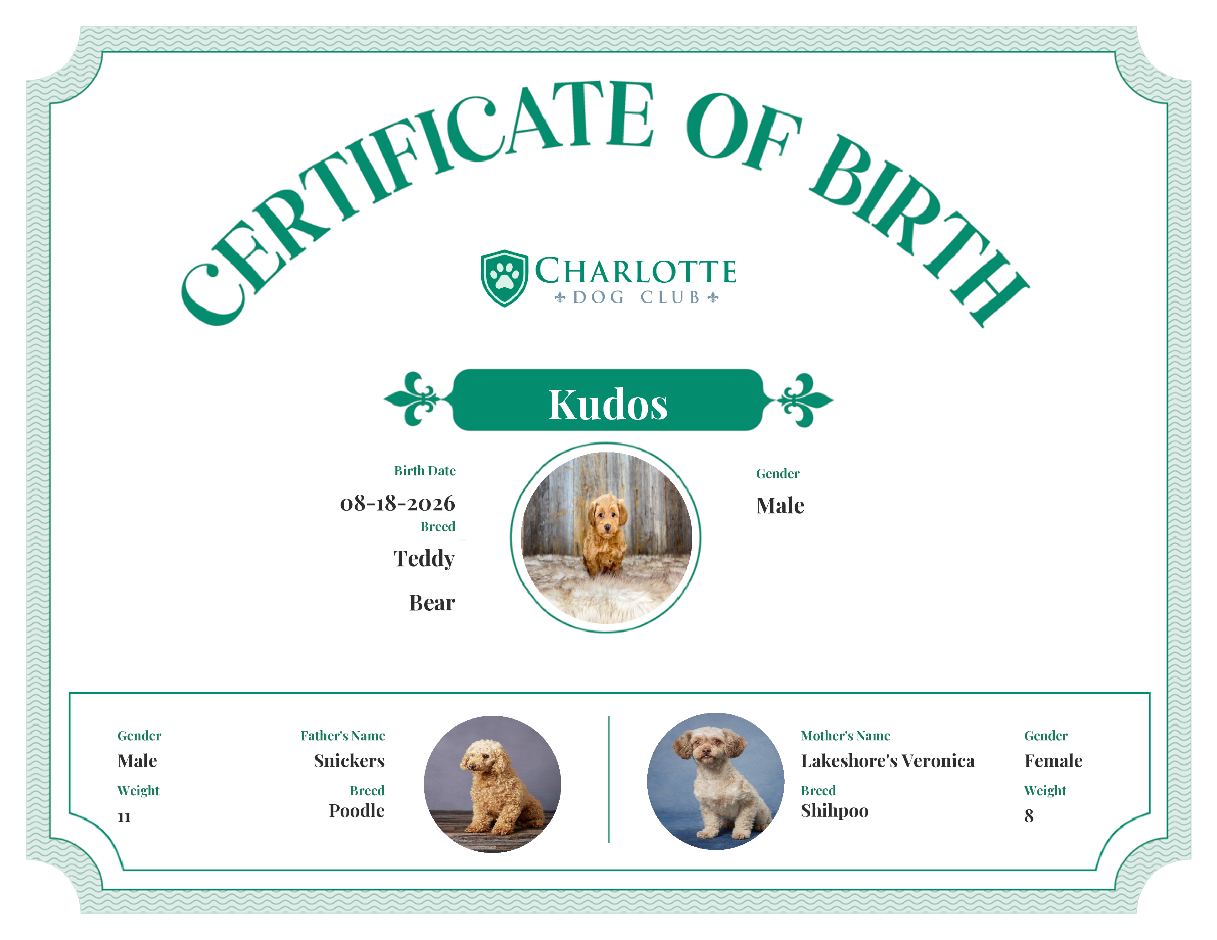 Kudos's Birth Certificate