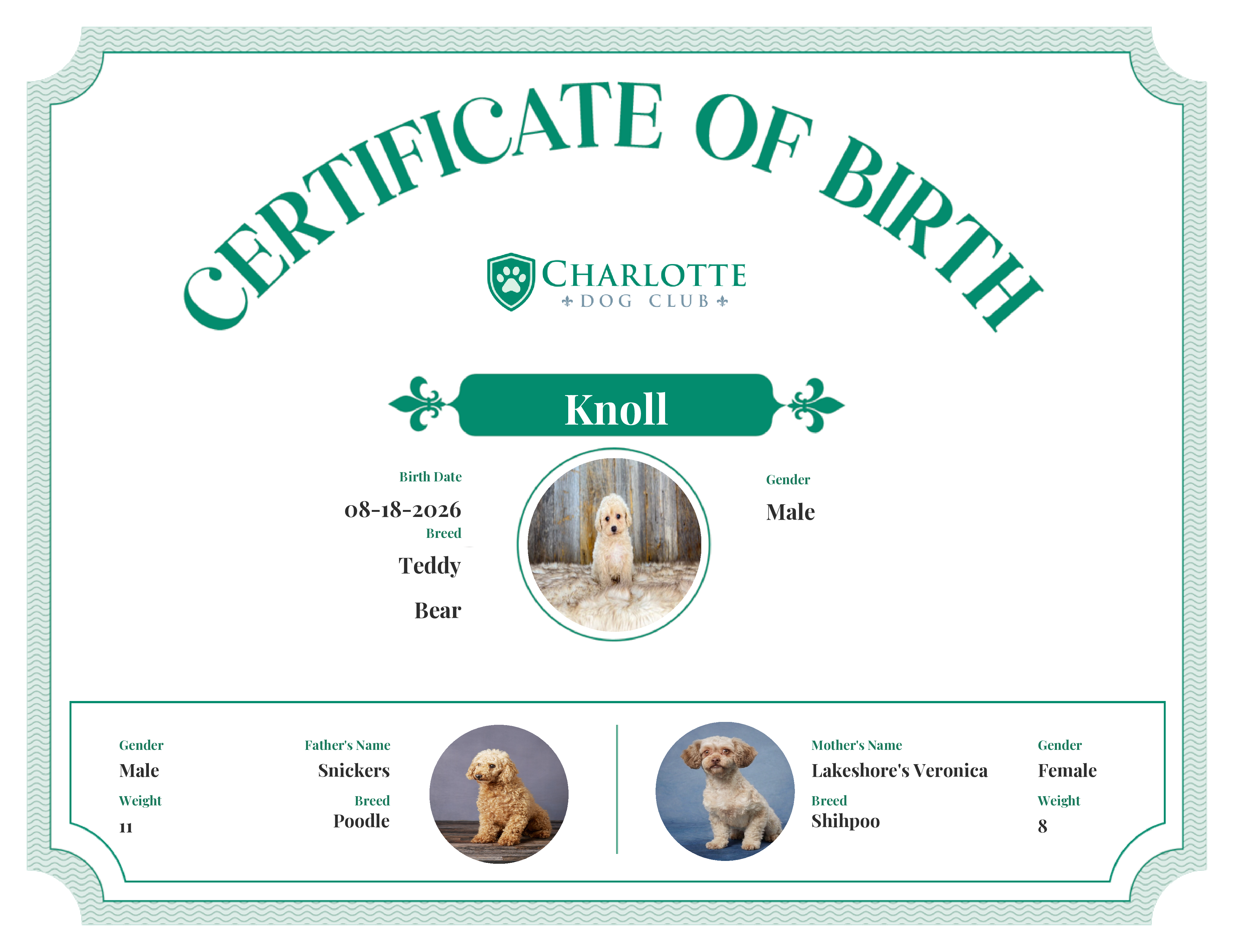 Knoll's Birth Certificate