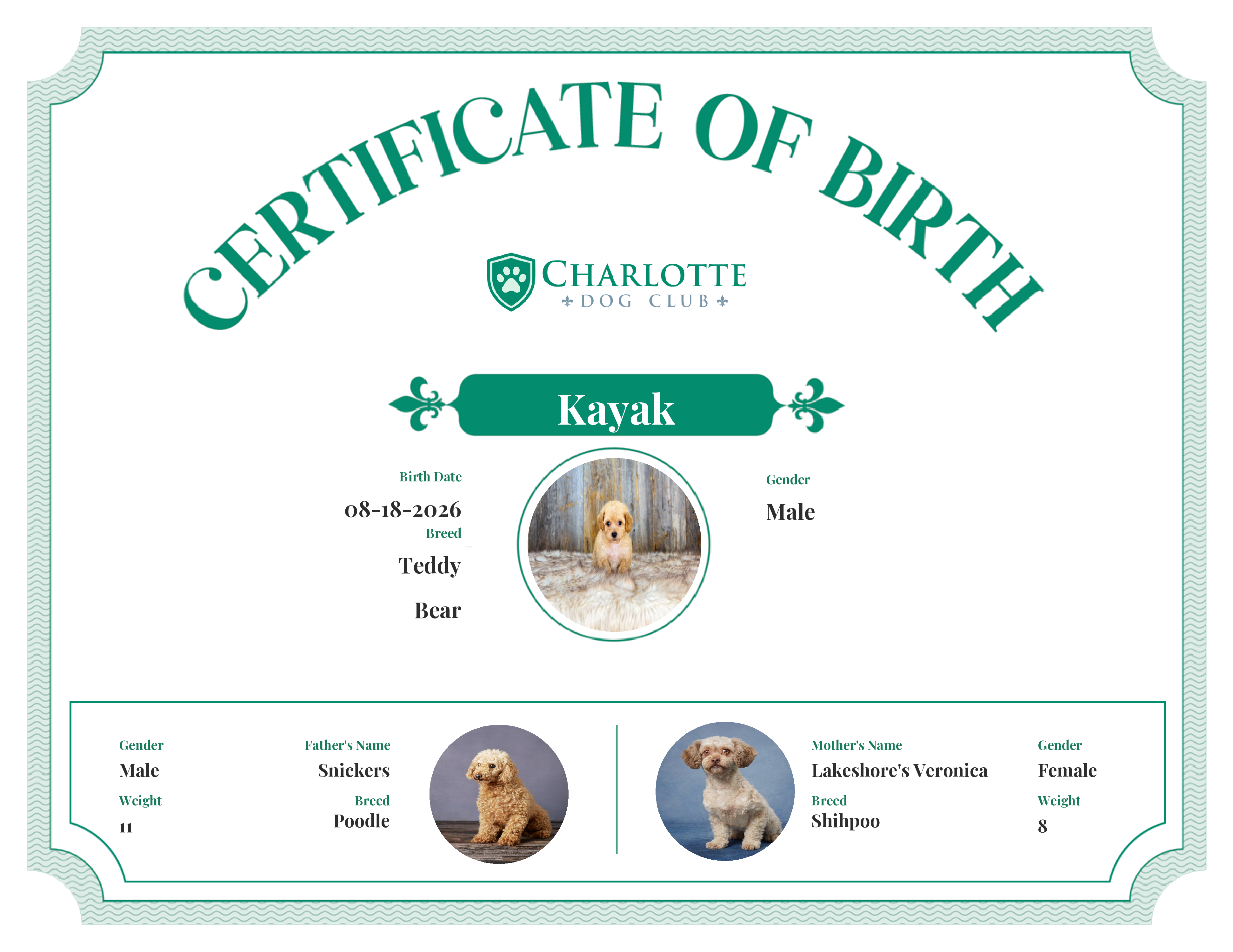 Kayak's Birth Certificate