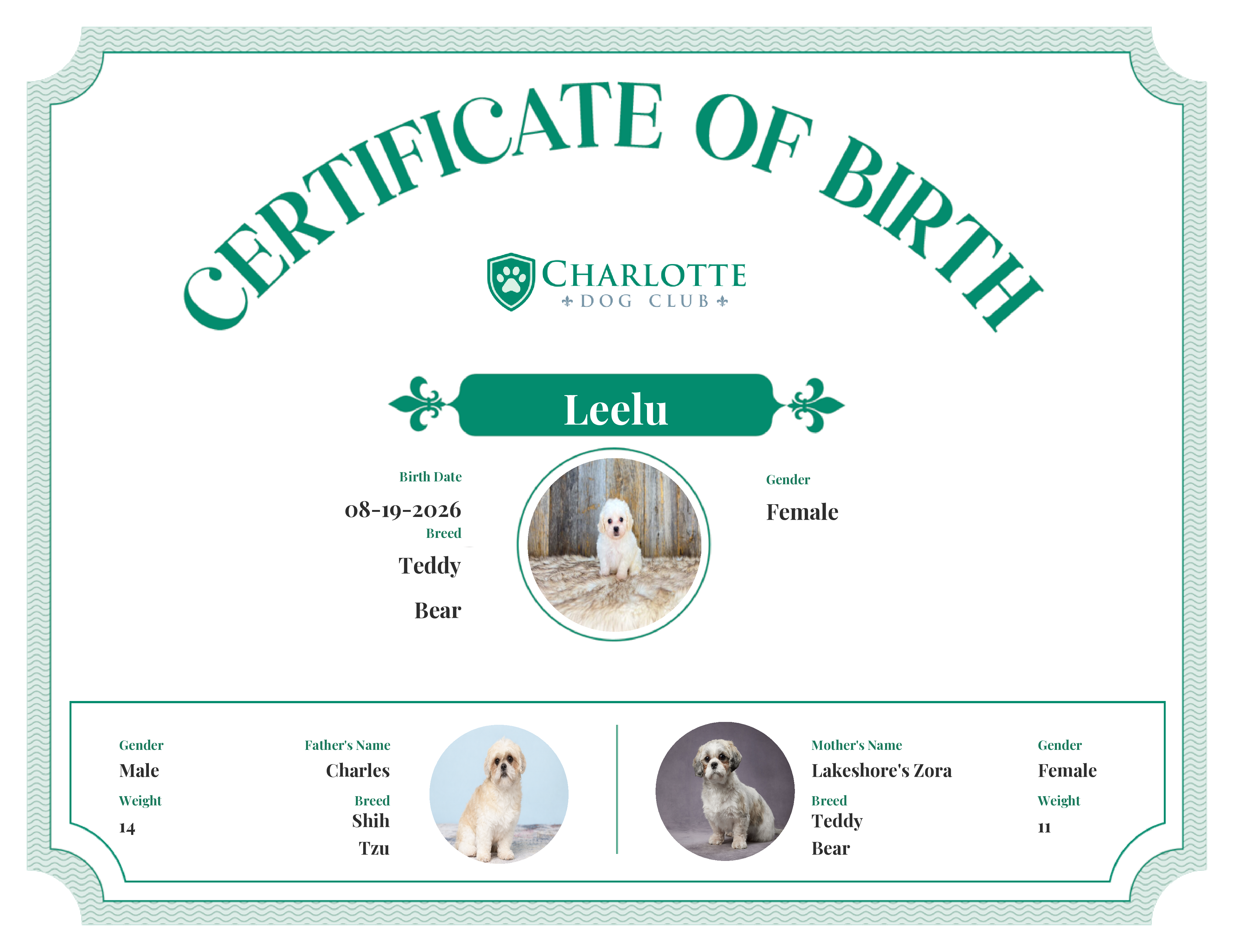 Leelu's Birth Certificate
