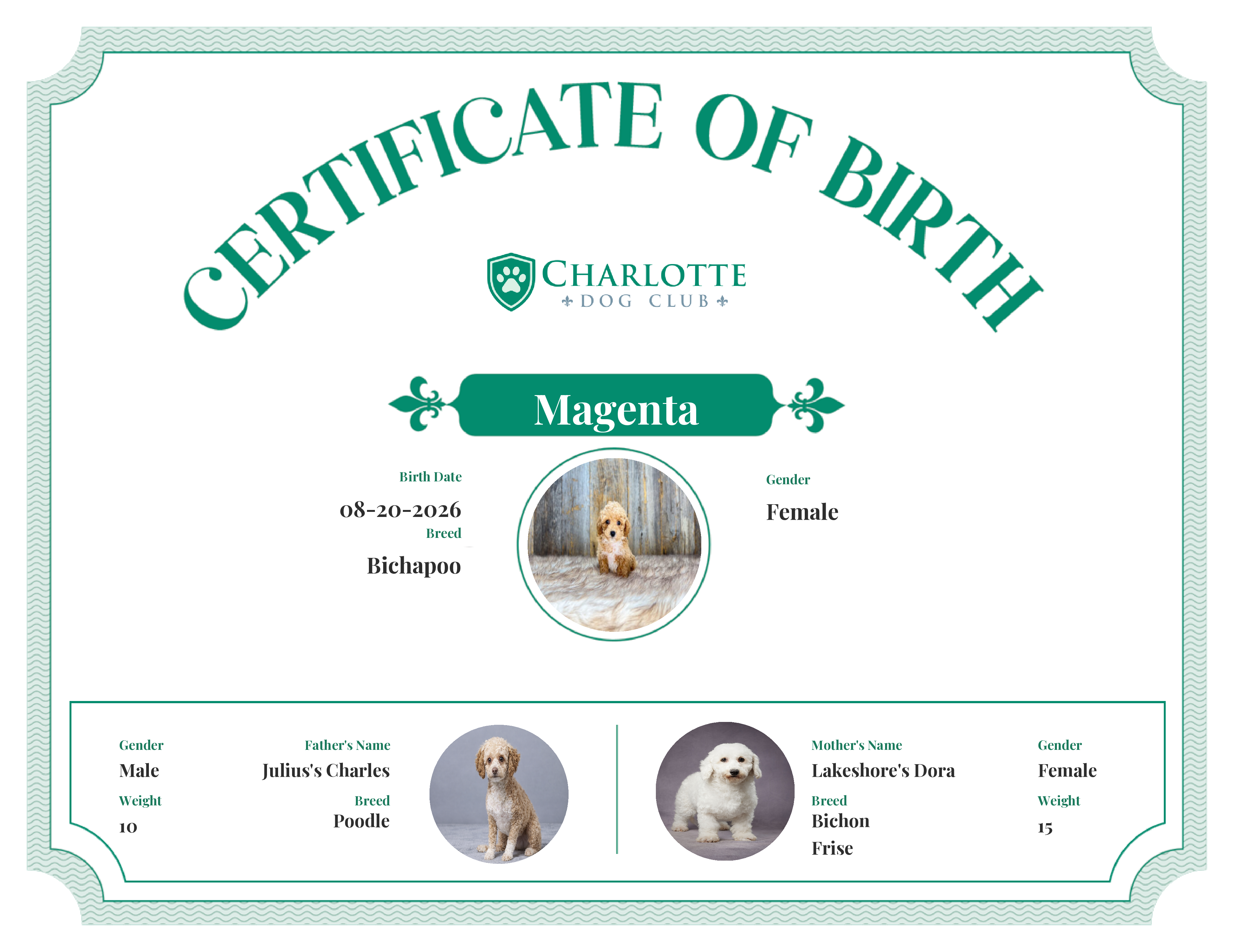 Magenta's Birth Certificate