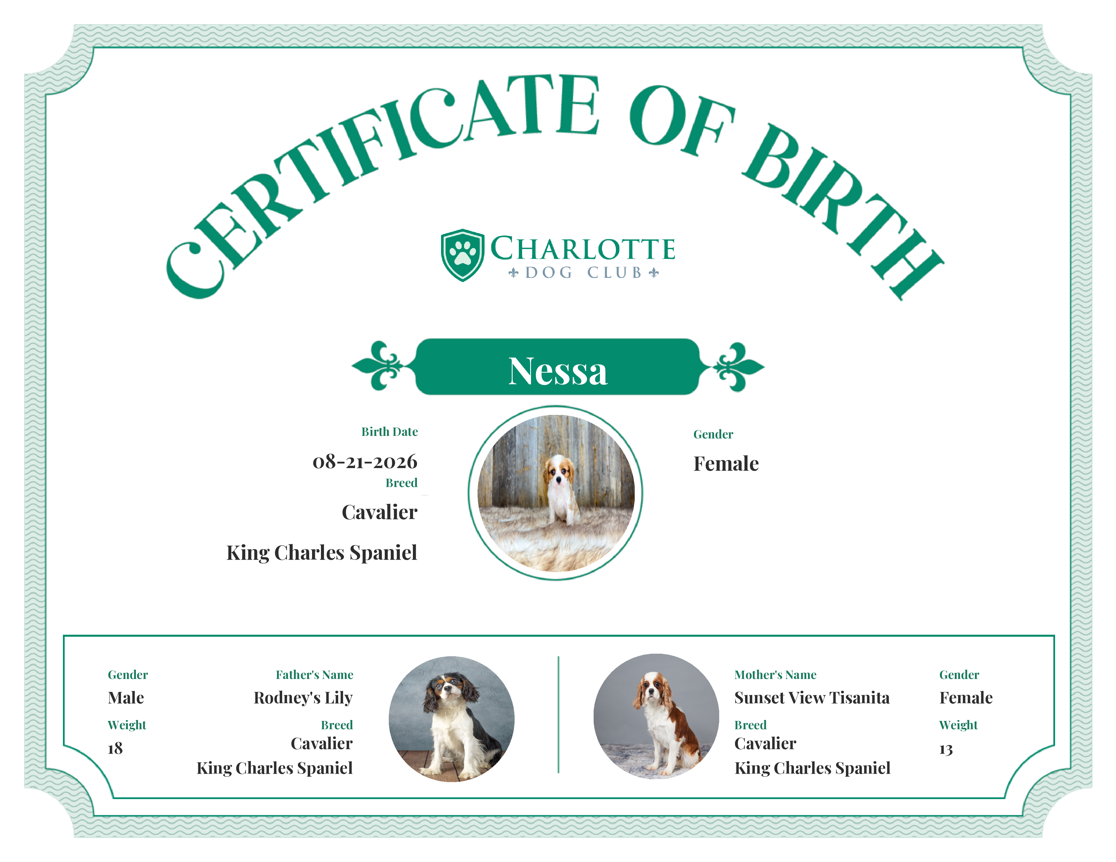 Nessa's Birth Certificate