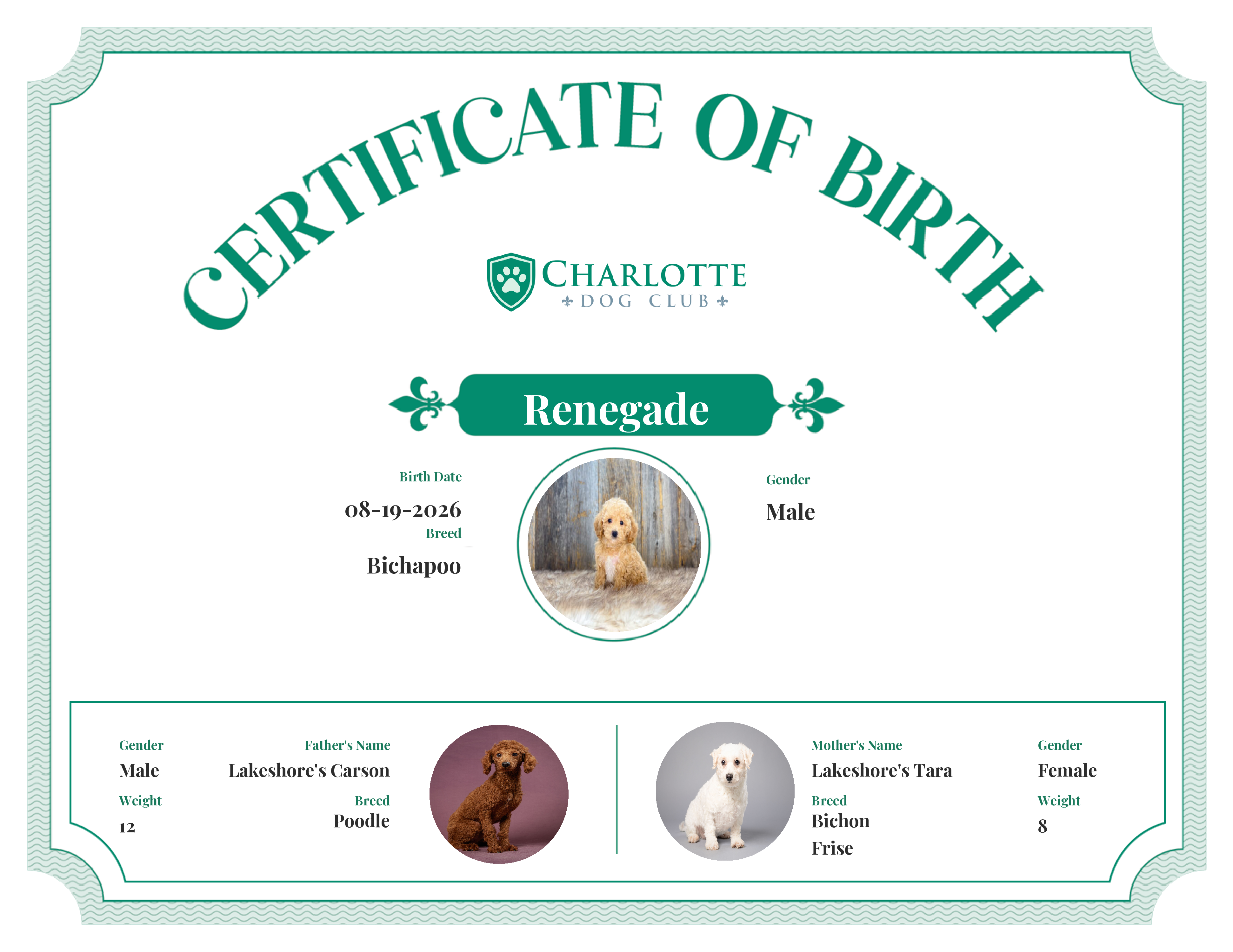 Renegade's Birth Certificate