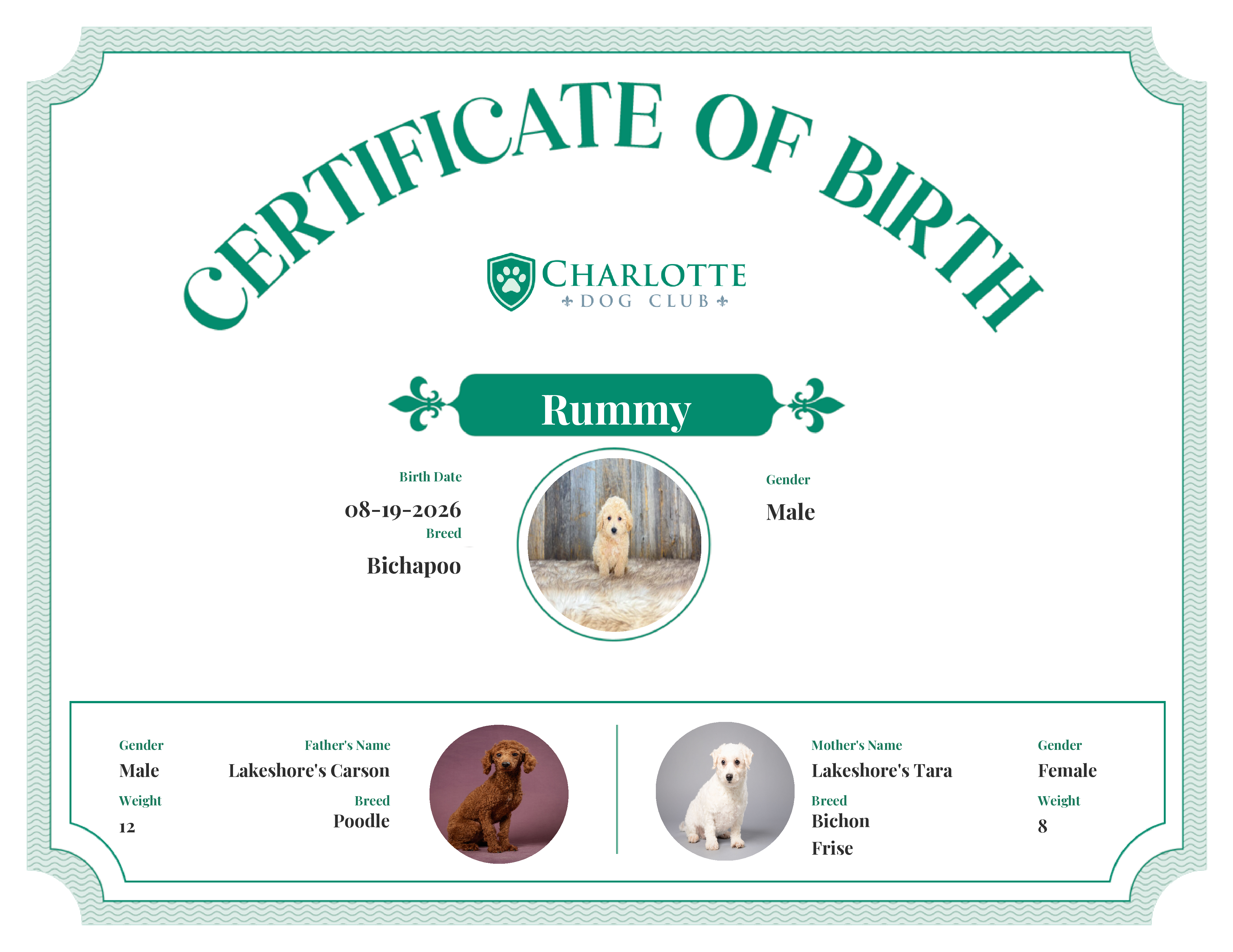 Rummy's Birth Certificate