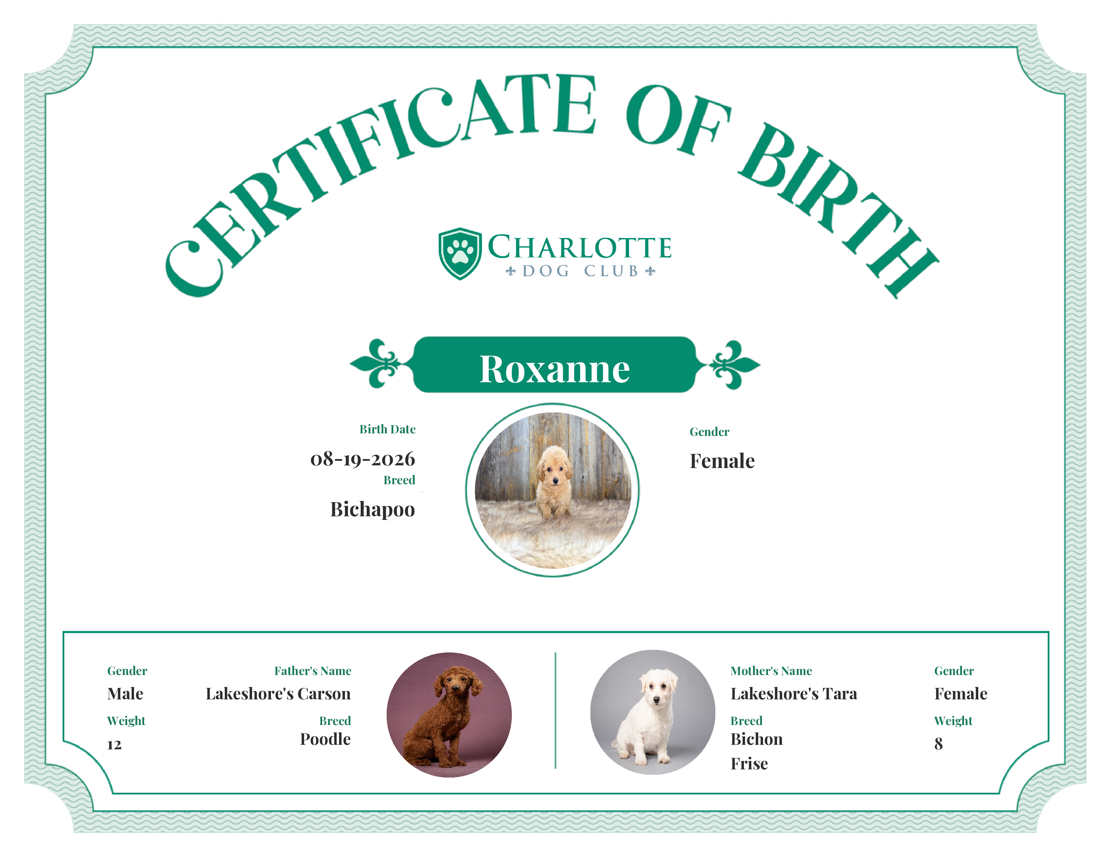 Roxanne's Birth Certificate