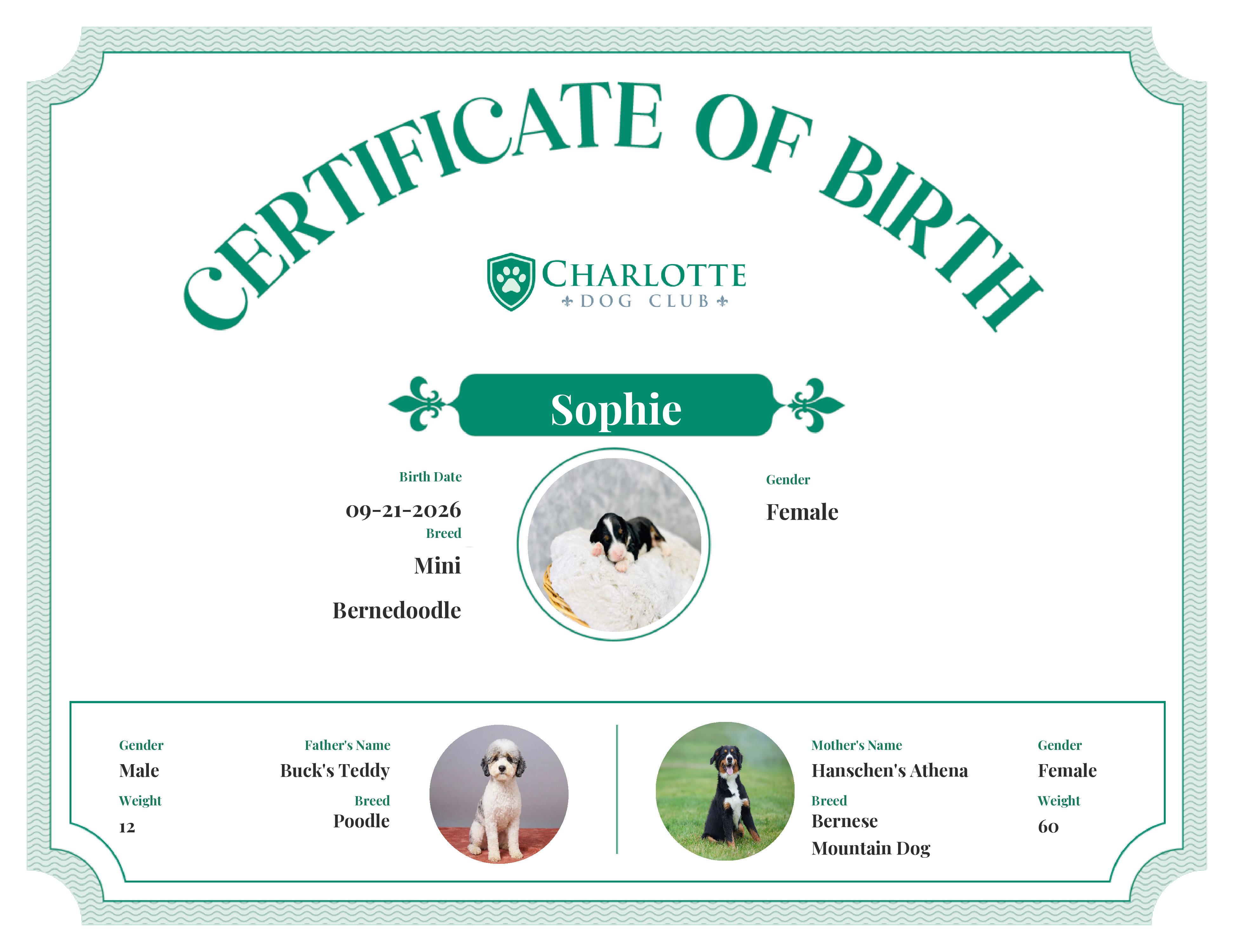 Sophie's Birth Certificate