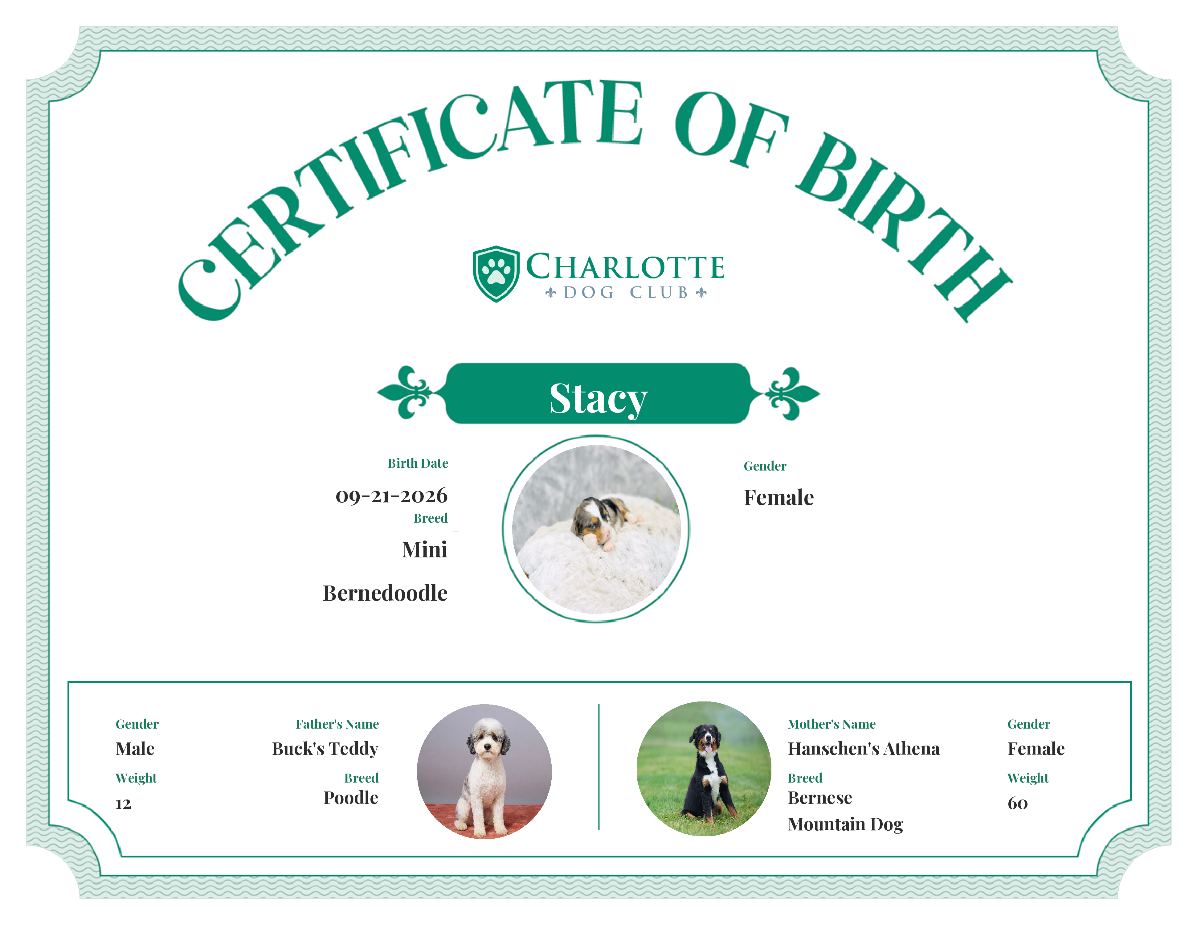Stacy's Birth Certificate