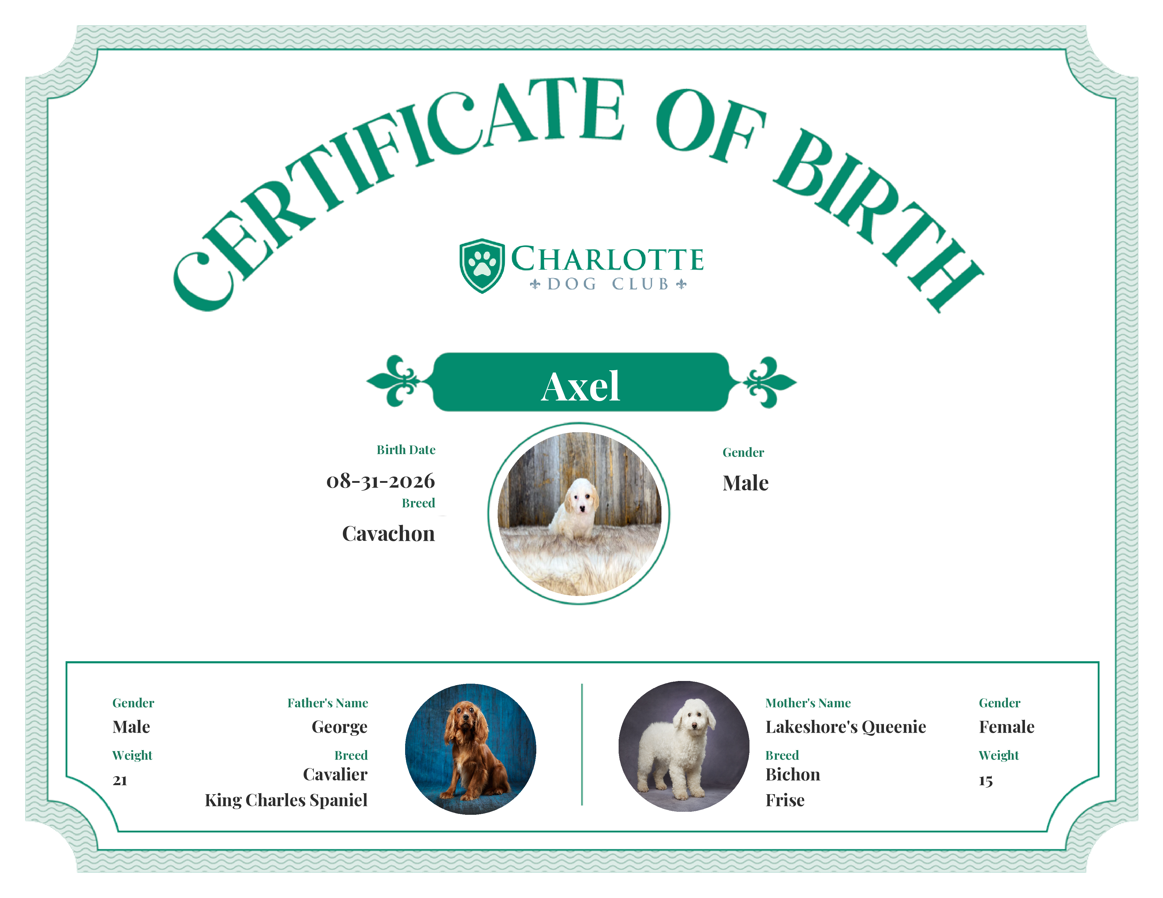 Axel's Birth Certificate