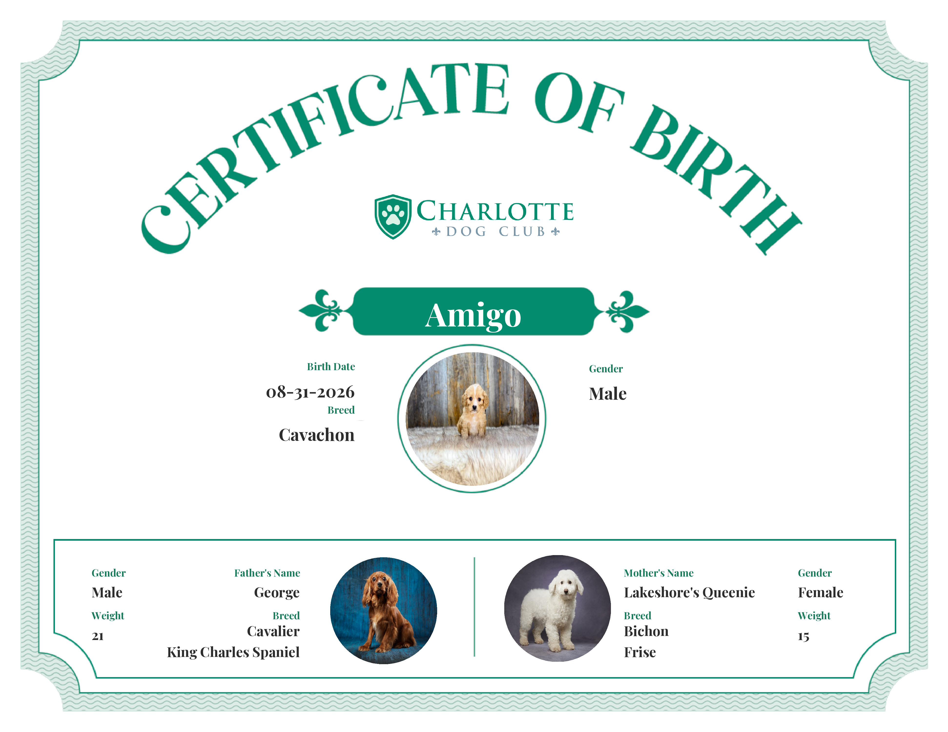 Amigo's Birth Certificate